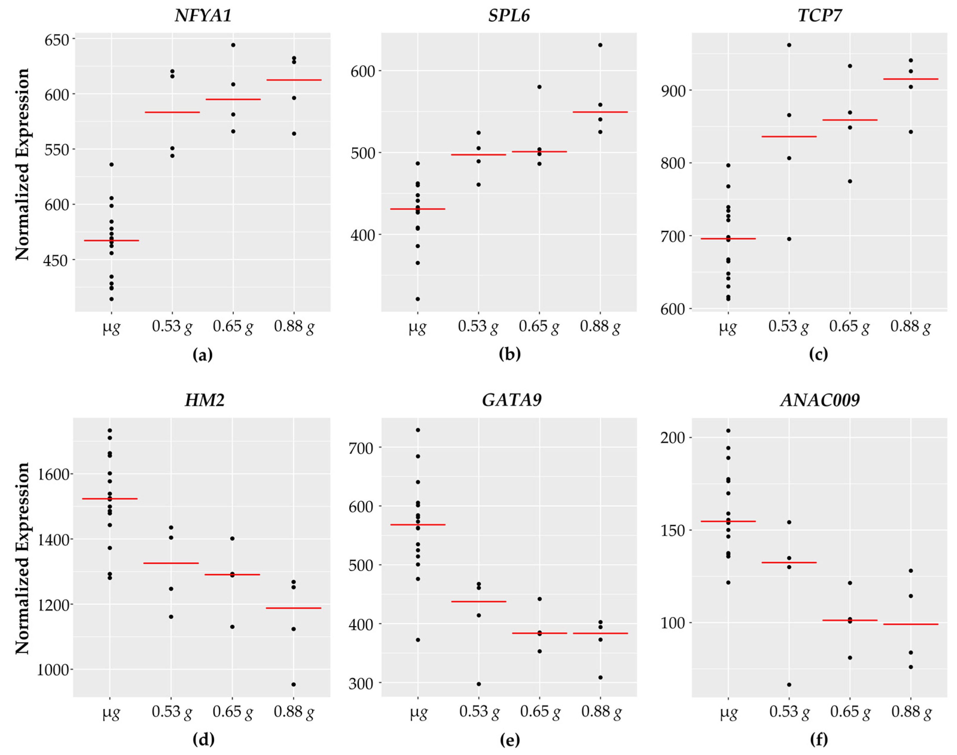 Life 11 01010 g003 Life 11 01010 g003