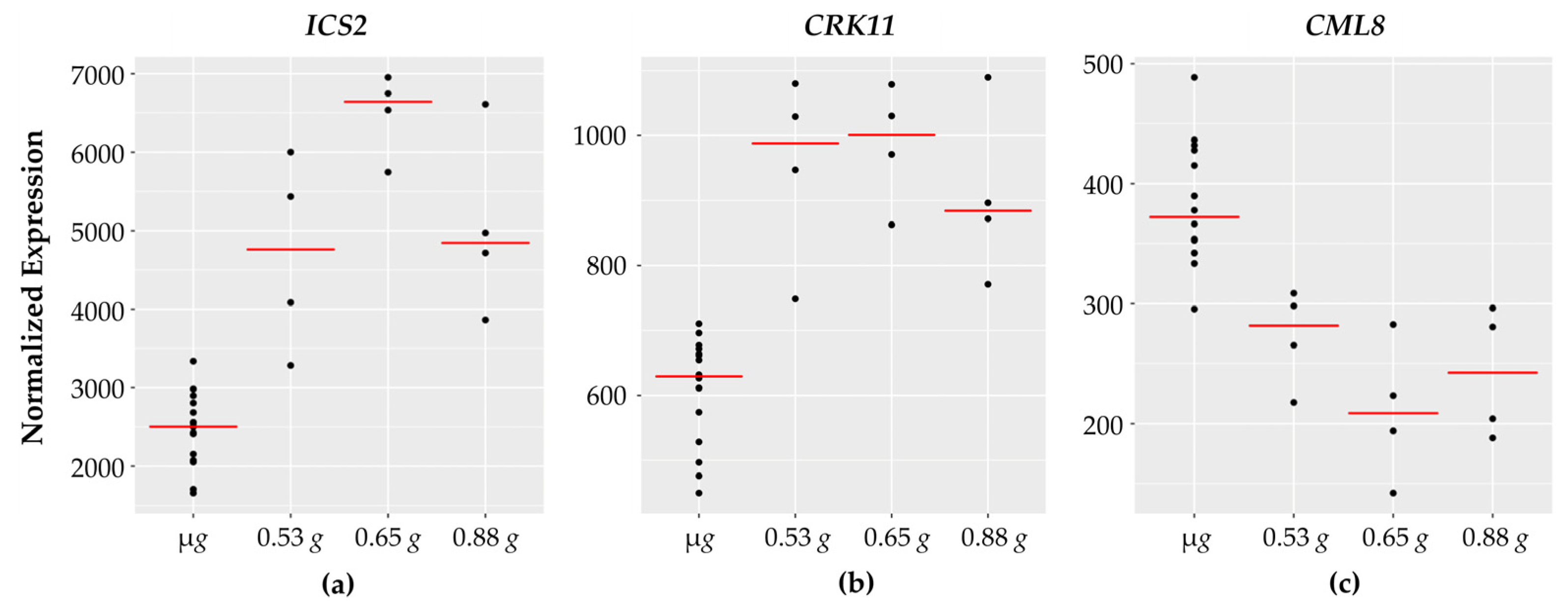 Life 11 01010 g004 Life 11 01010 g004