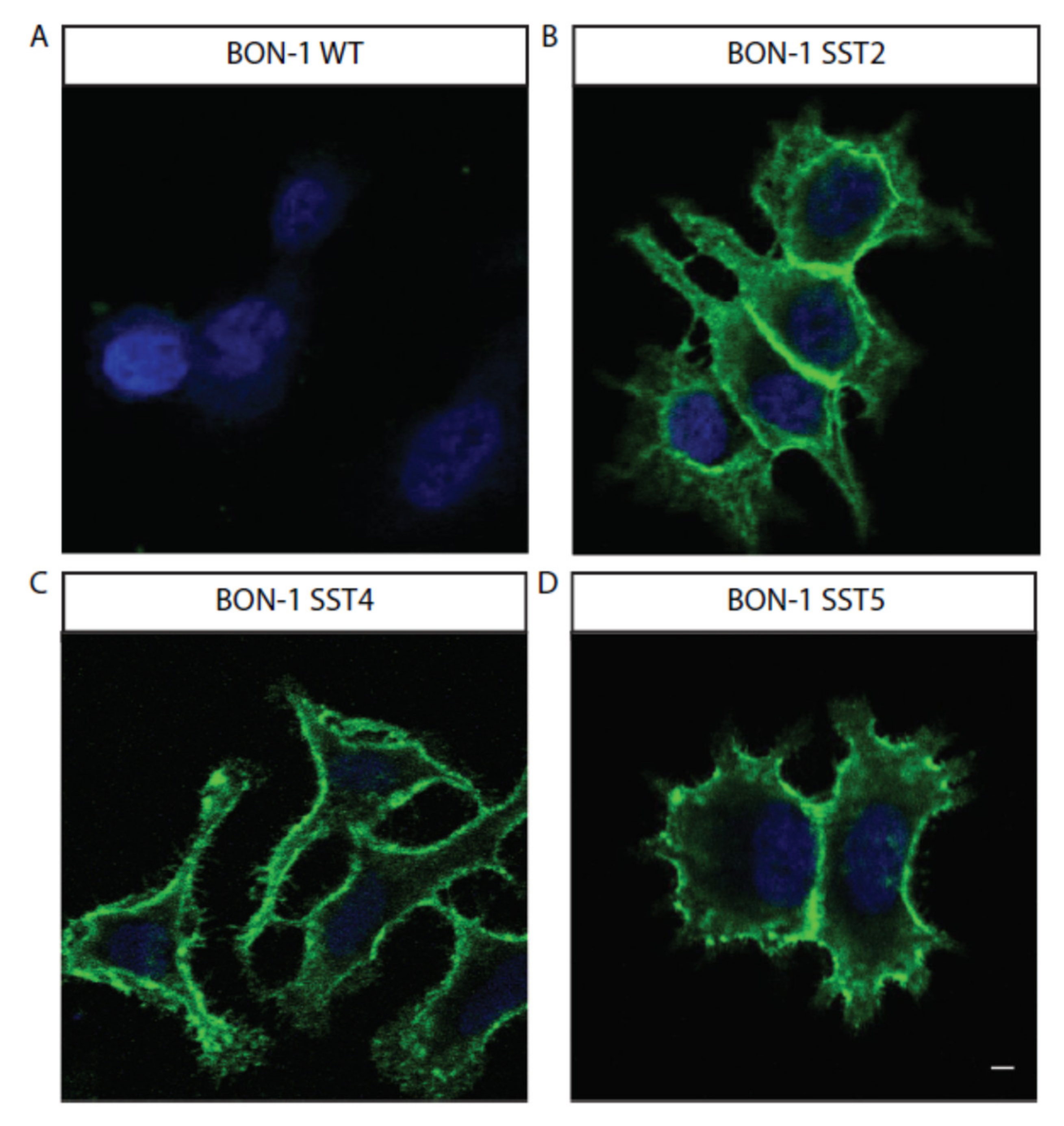 Life 11 01075 g003 Life 11 01075 g003