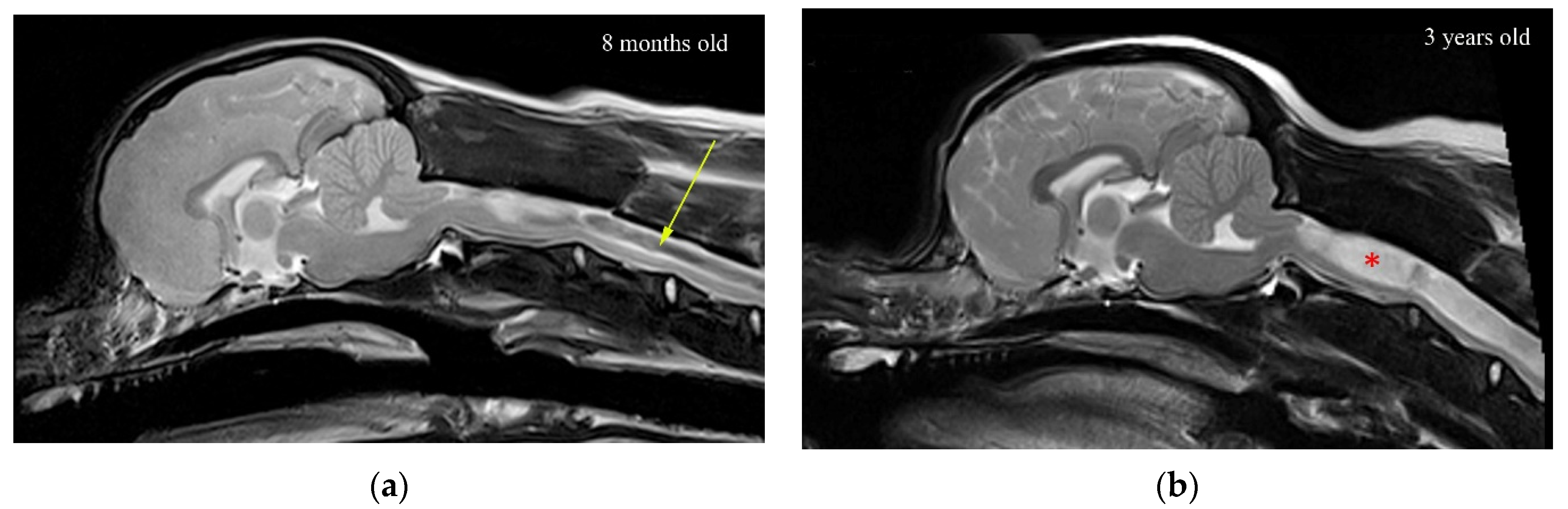 Life 11 01083 g010 Life 11 01083 g010