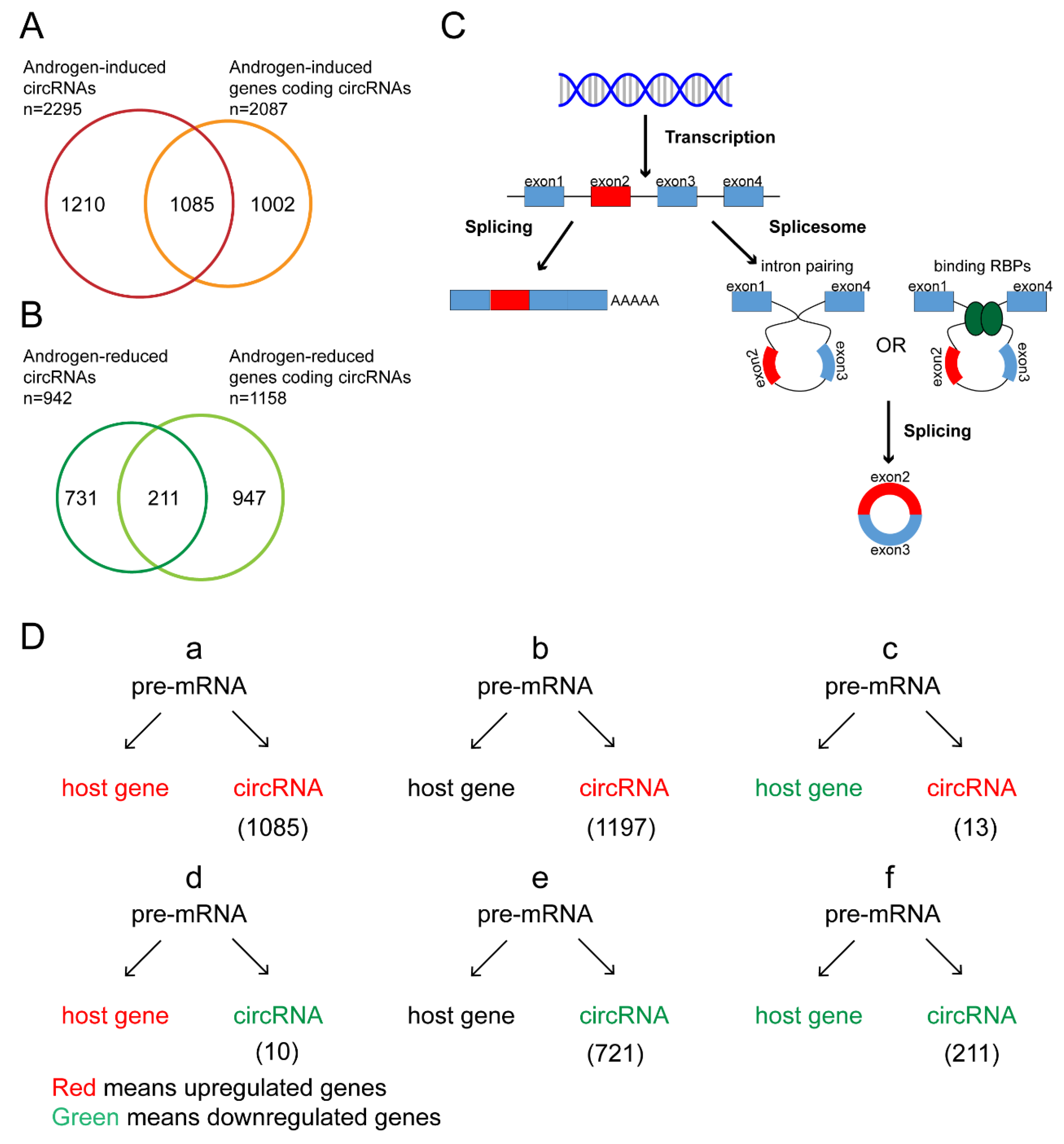 Life 11 01096 g003 Life 11 01096 g003