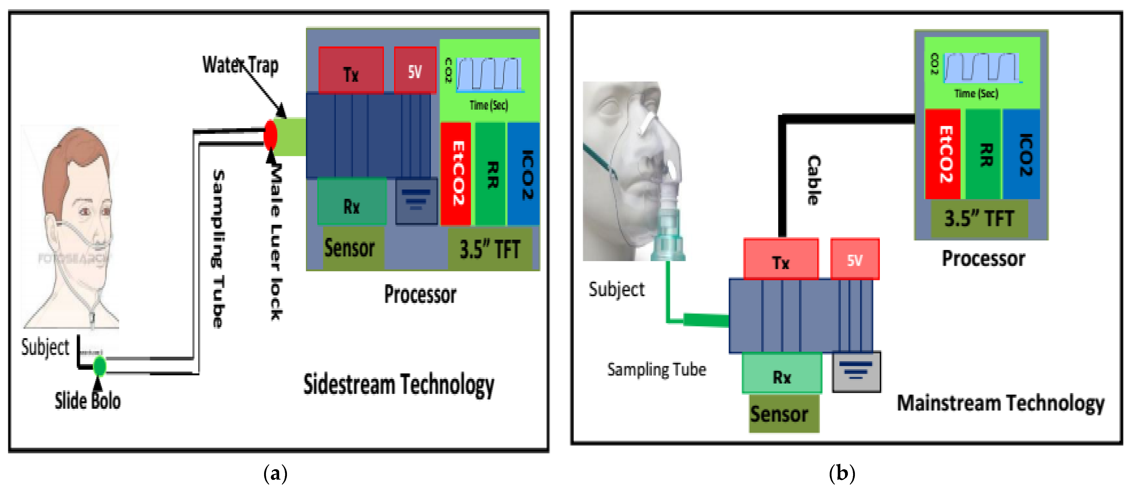Life 11 01101 g003 Life 11 01101 g003