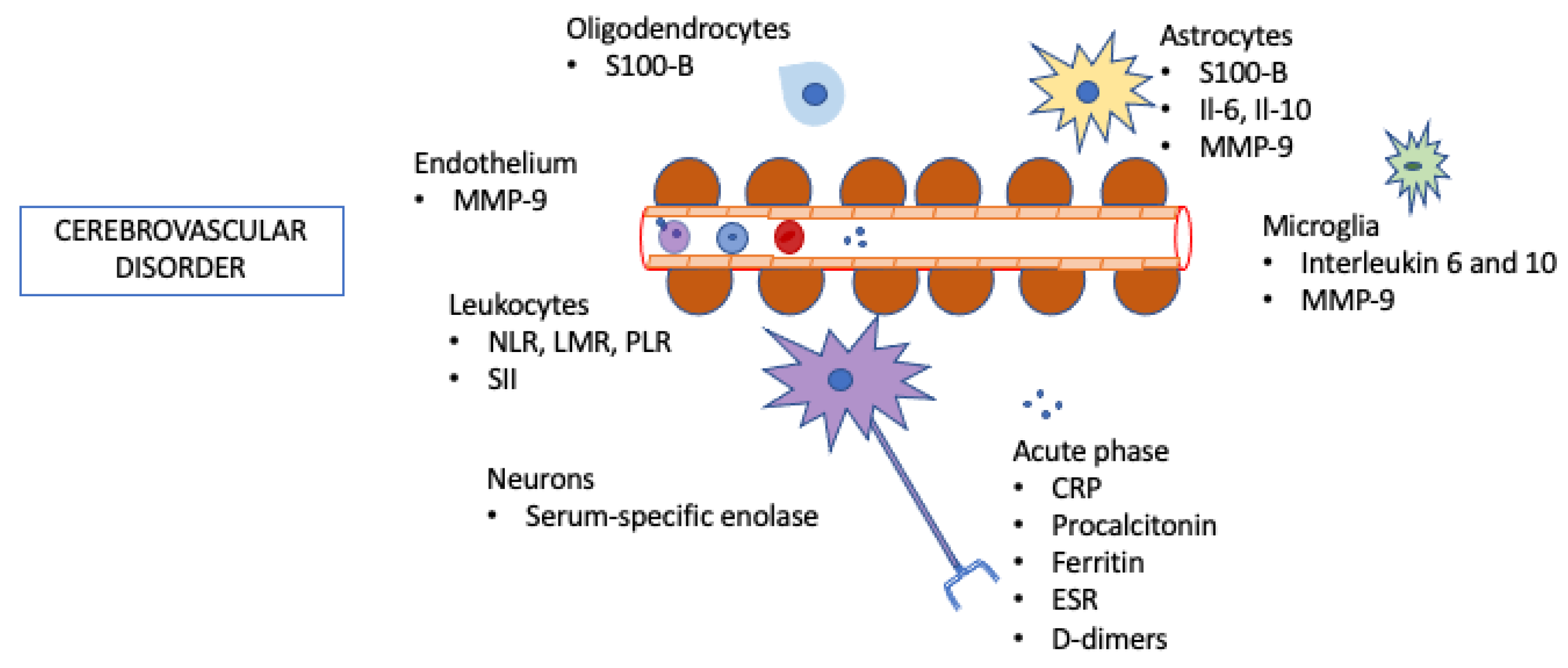 Life 11 01103 g001 Life 11 01103 g001
