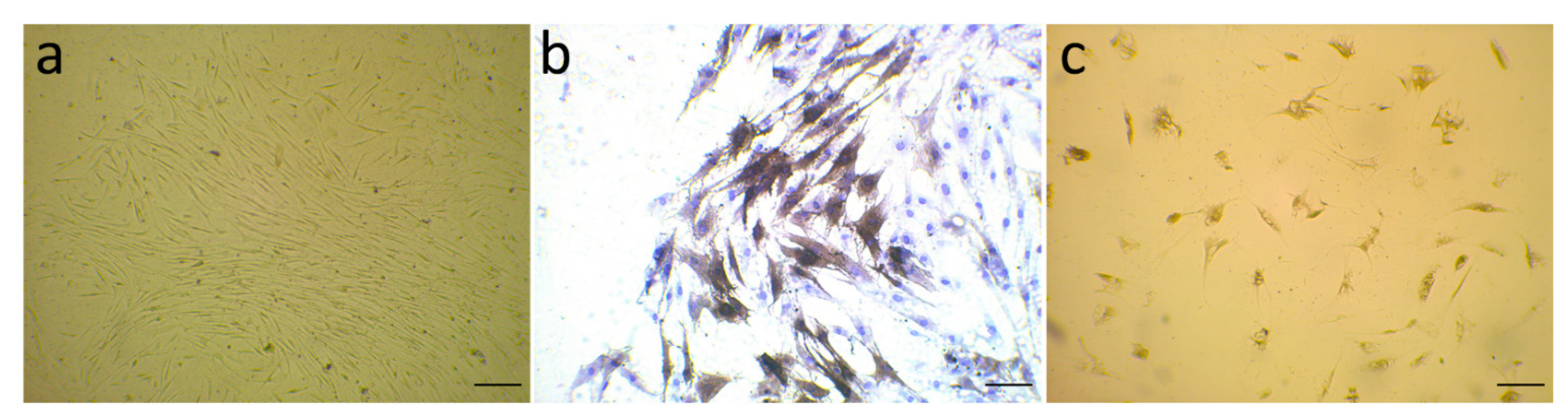 Life 11 01298 g001 Life 11 01298 g001