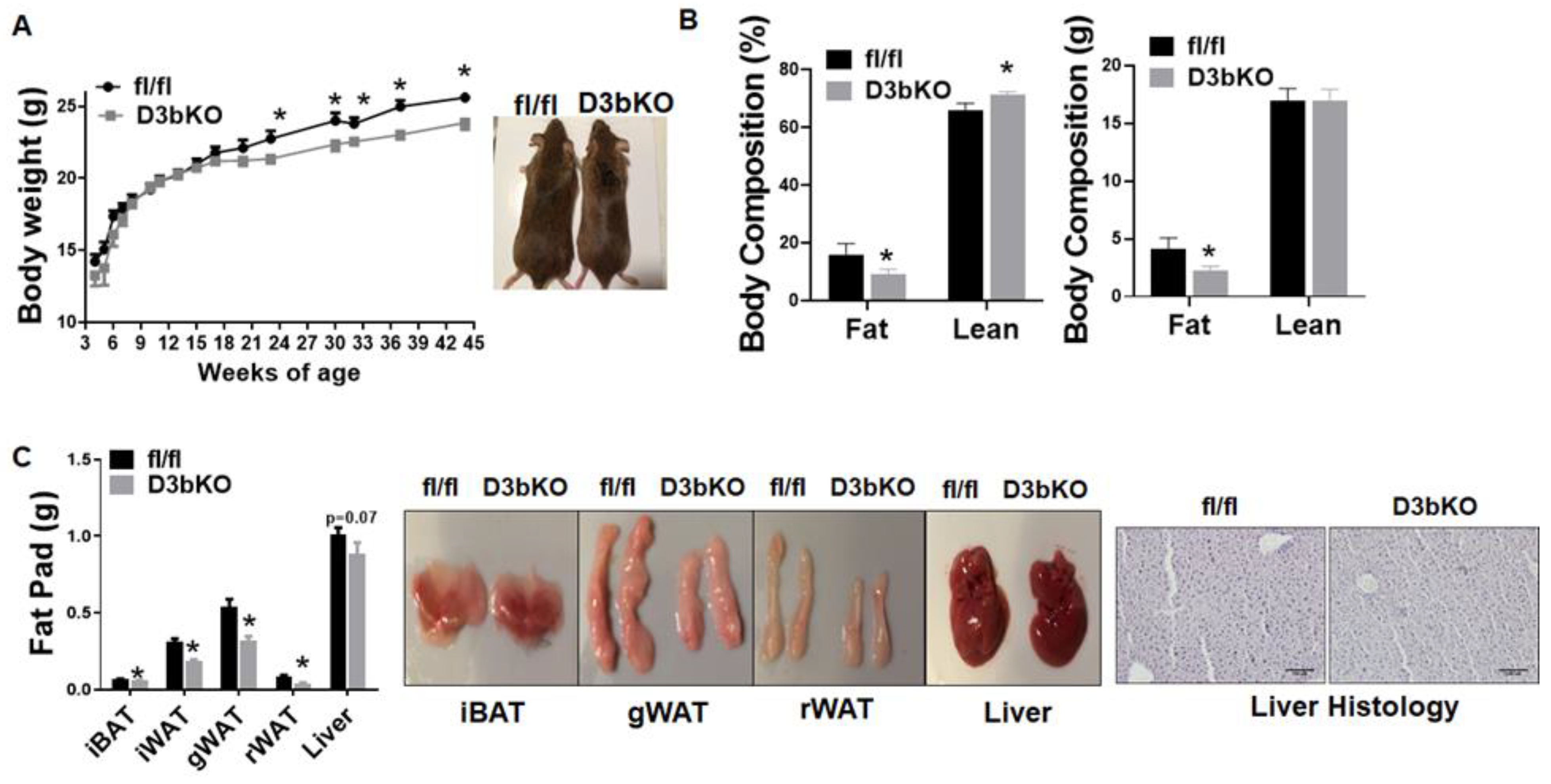 Life 11 01325 g001 Life 11 01325 g001