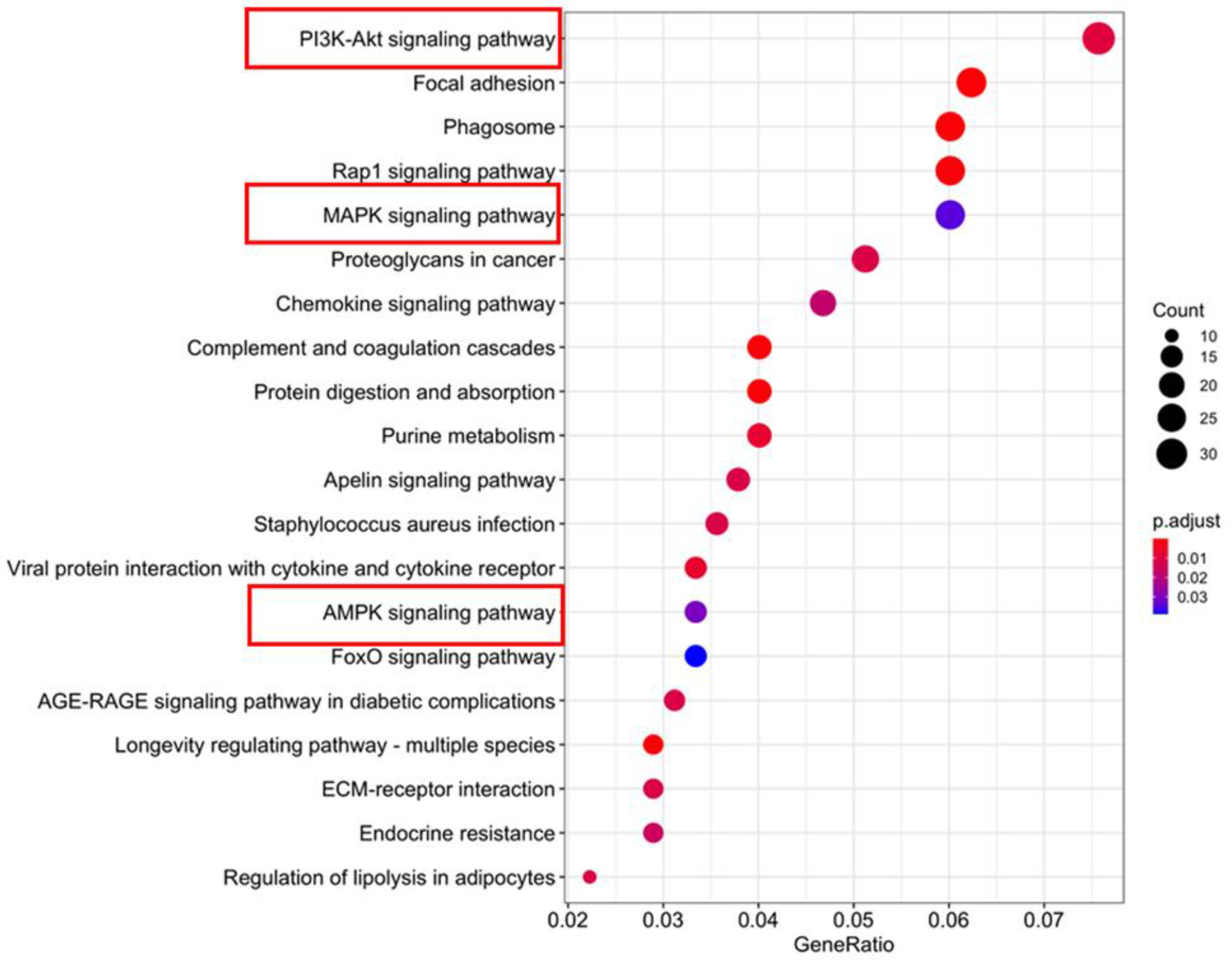 Life 11 01325 g005 Life 11 01325 g005