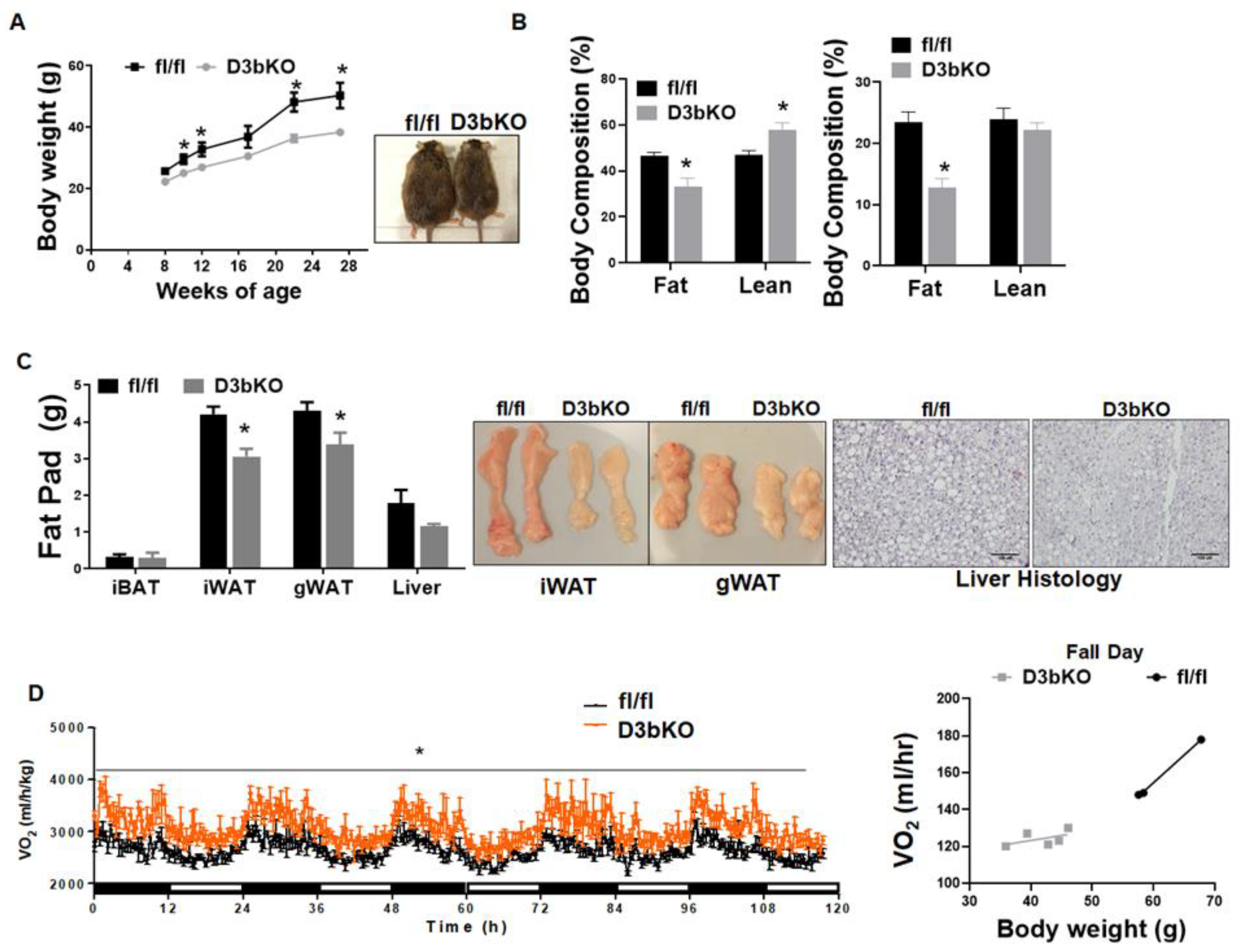 Life 11 01325 g006 Life 11 01325 g006