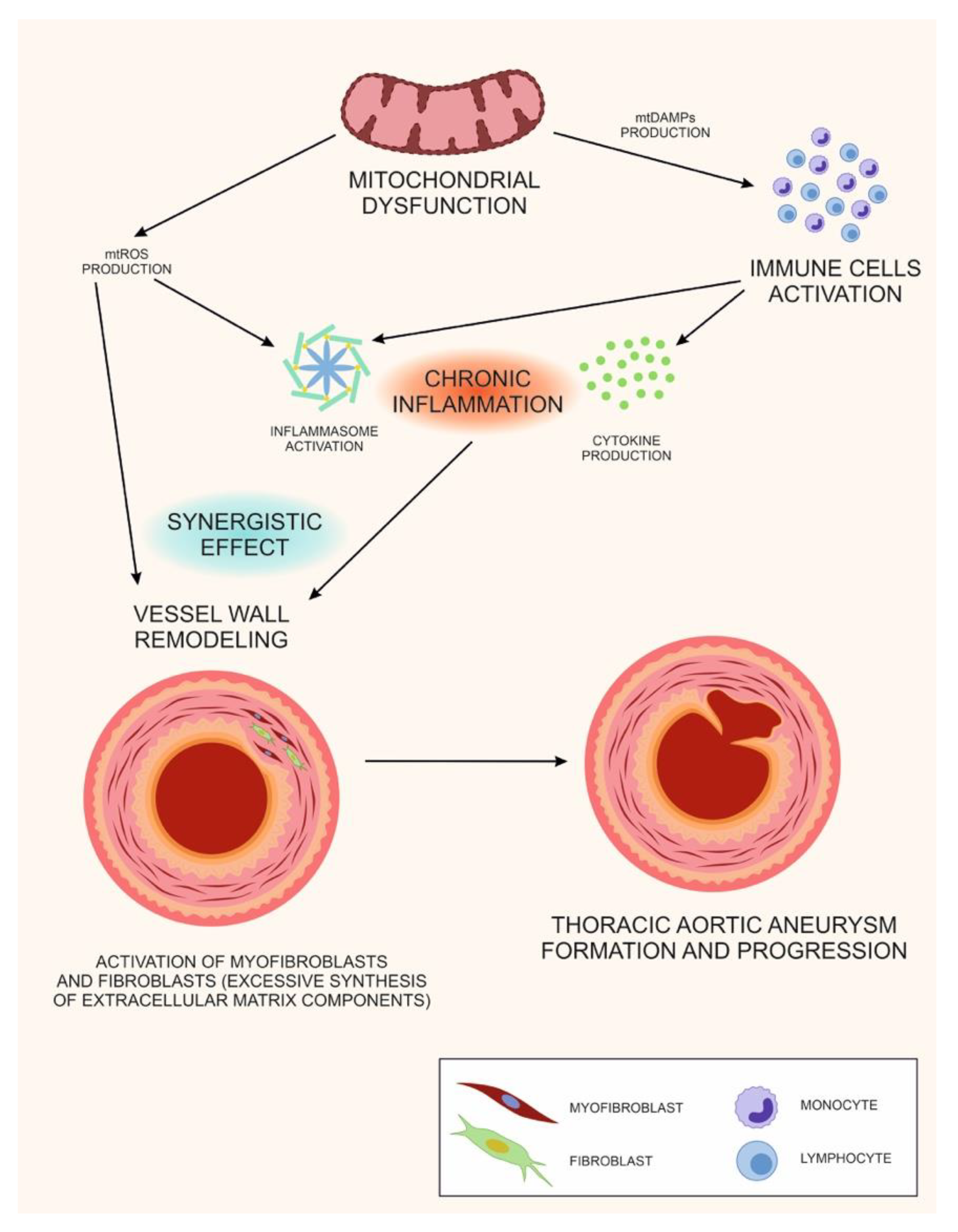 Life 11 01395 g001 Life 11 01395 g001
