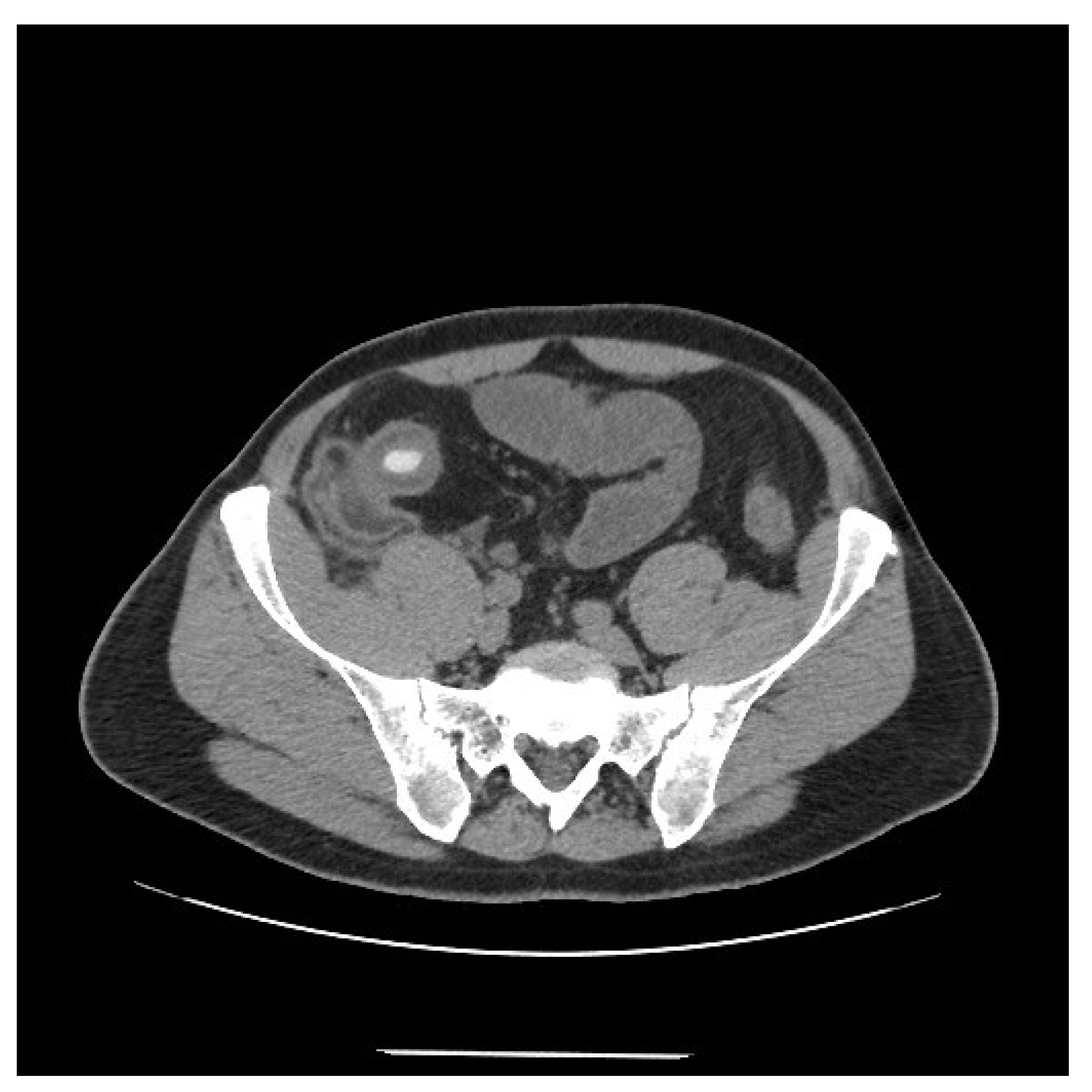 Life 11 01415 g001 Life 11 01415 g001