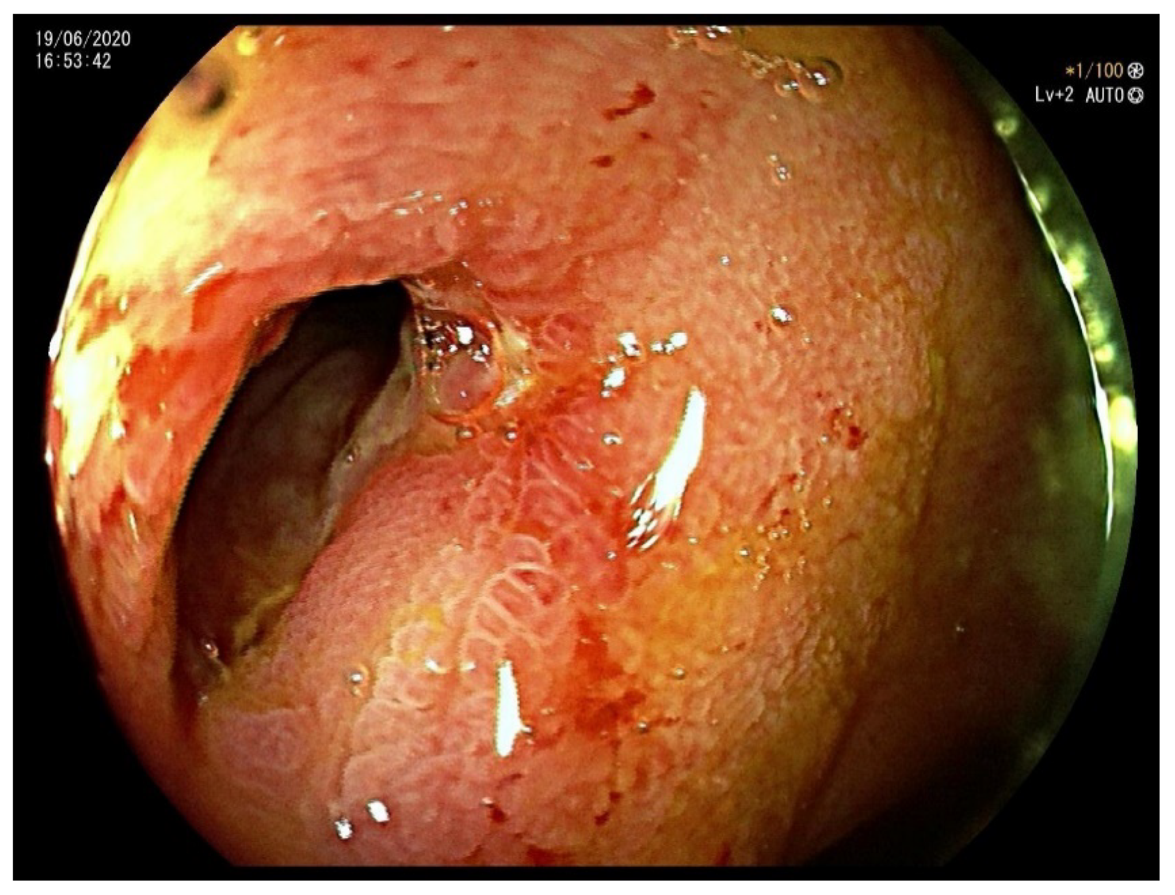 Life 11 01415 g002 Life 11 01415 g002