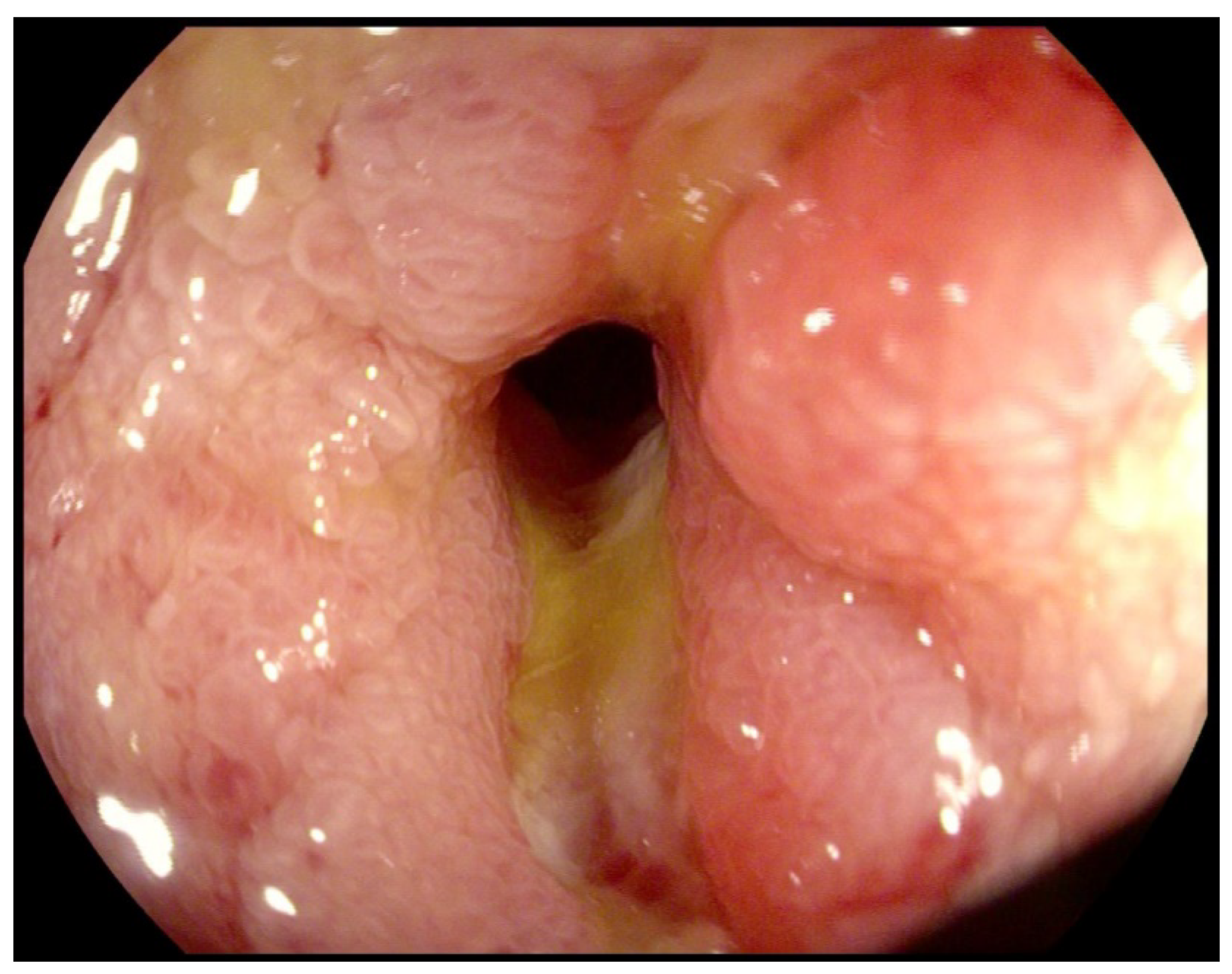 Life 11 01415 g004 Life 11 01415 g004