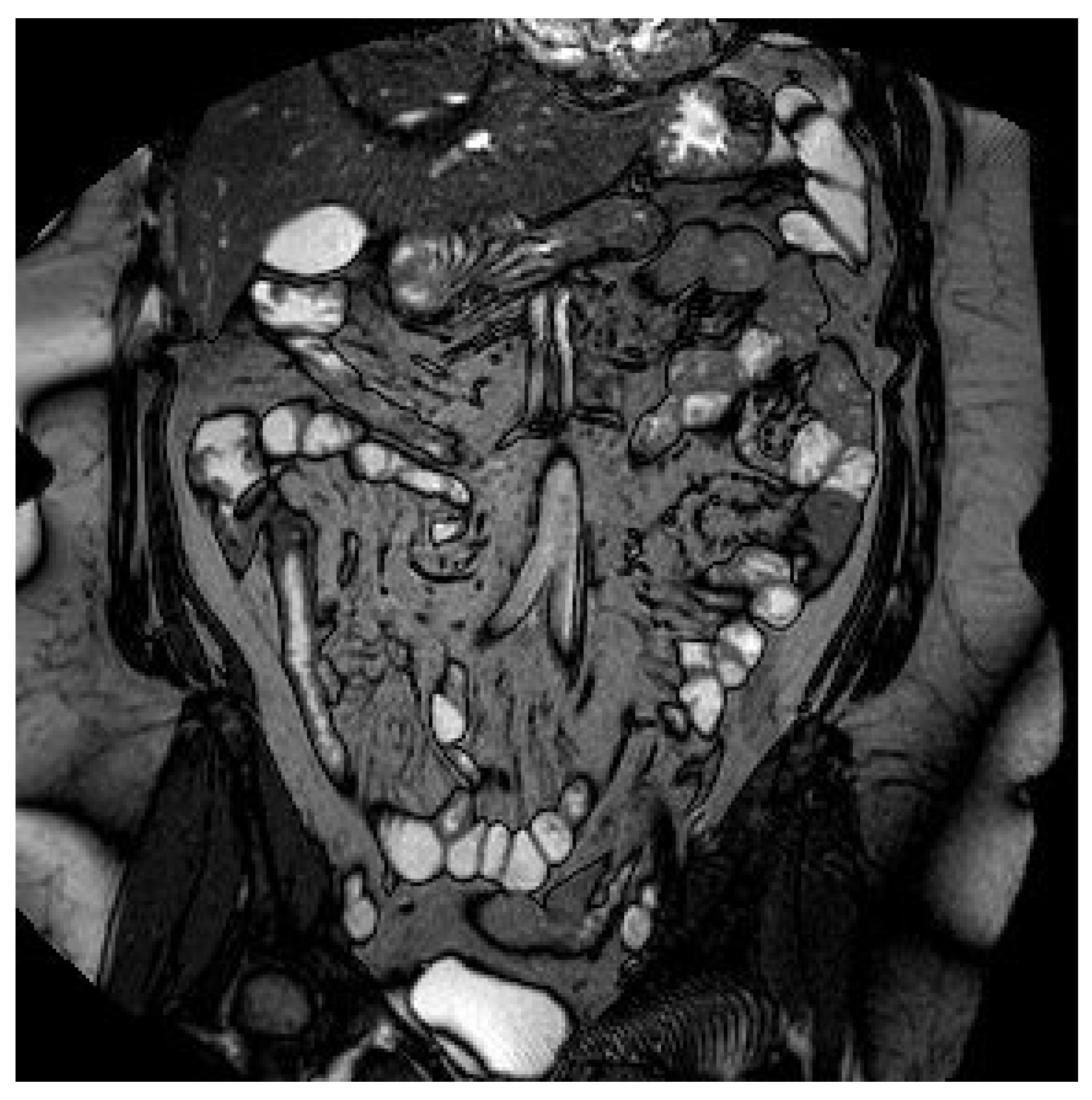 Life 11 01415 g005 Life 11 01415 g005