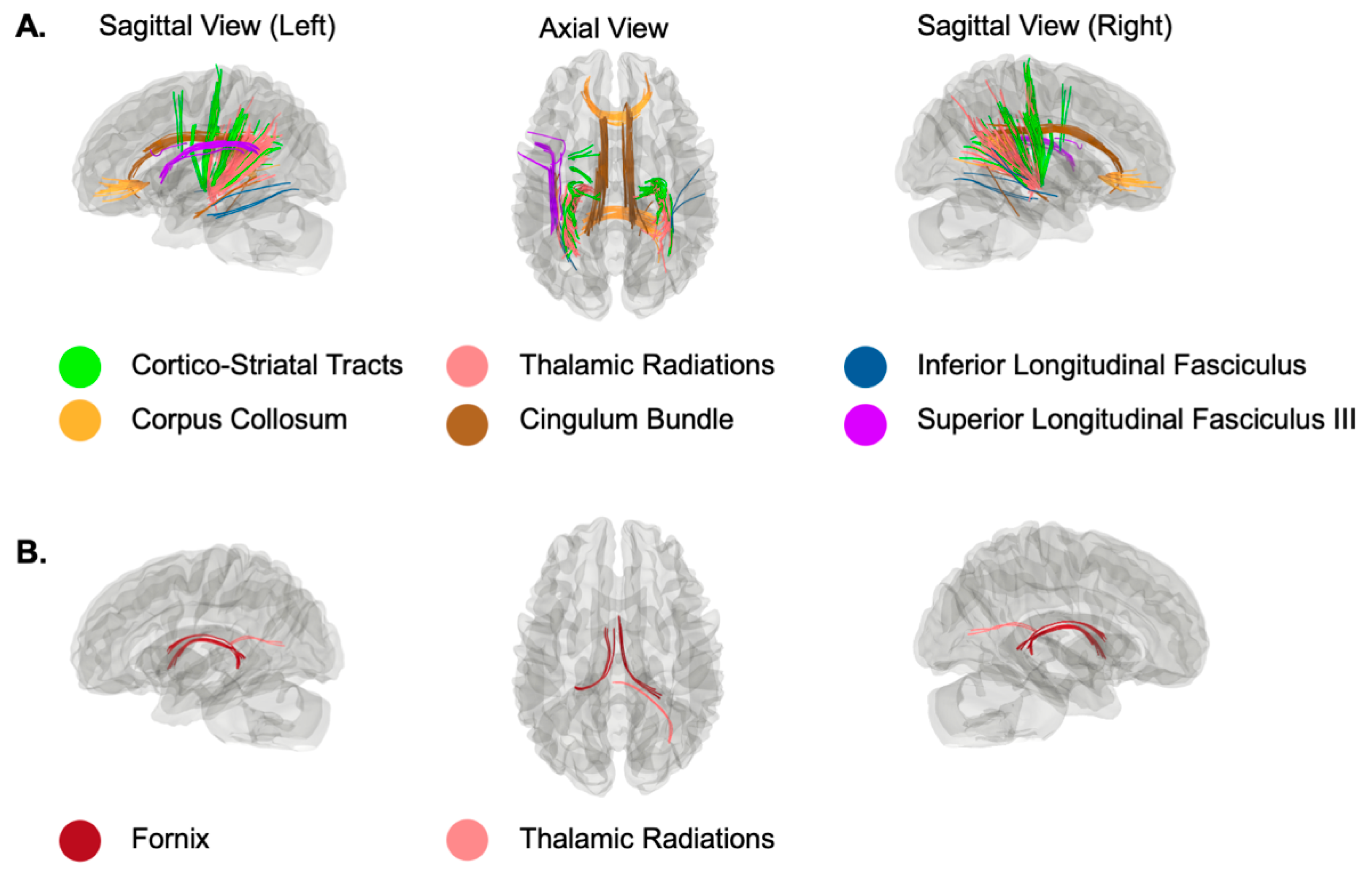 Life 12 00043 g001 Life 12 00043 g001