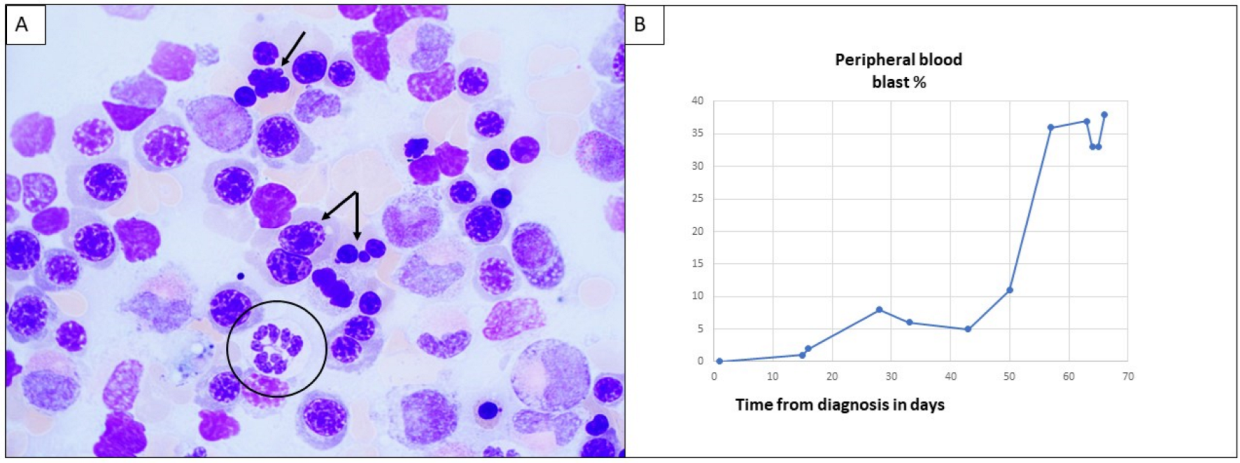 Life 12 00109 g003 Life 12 00109 g003