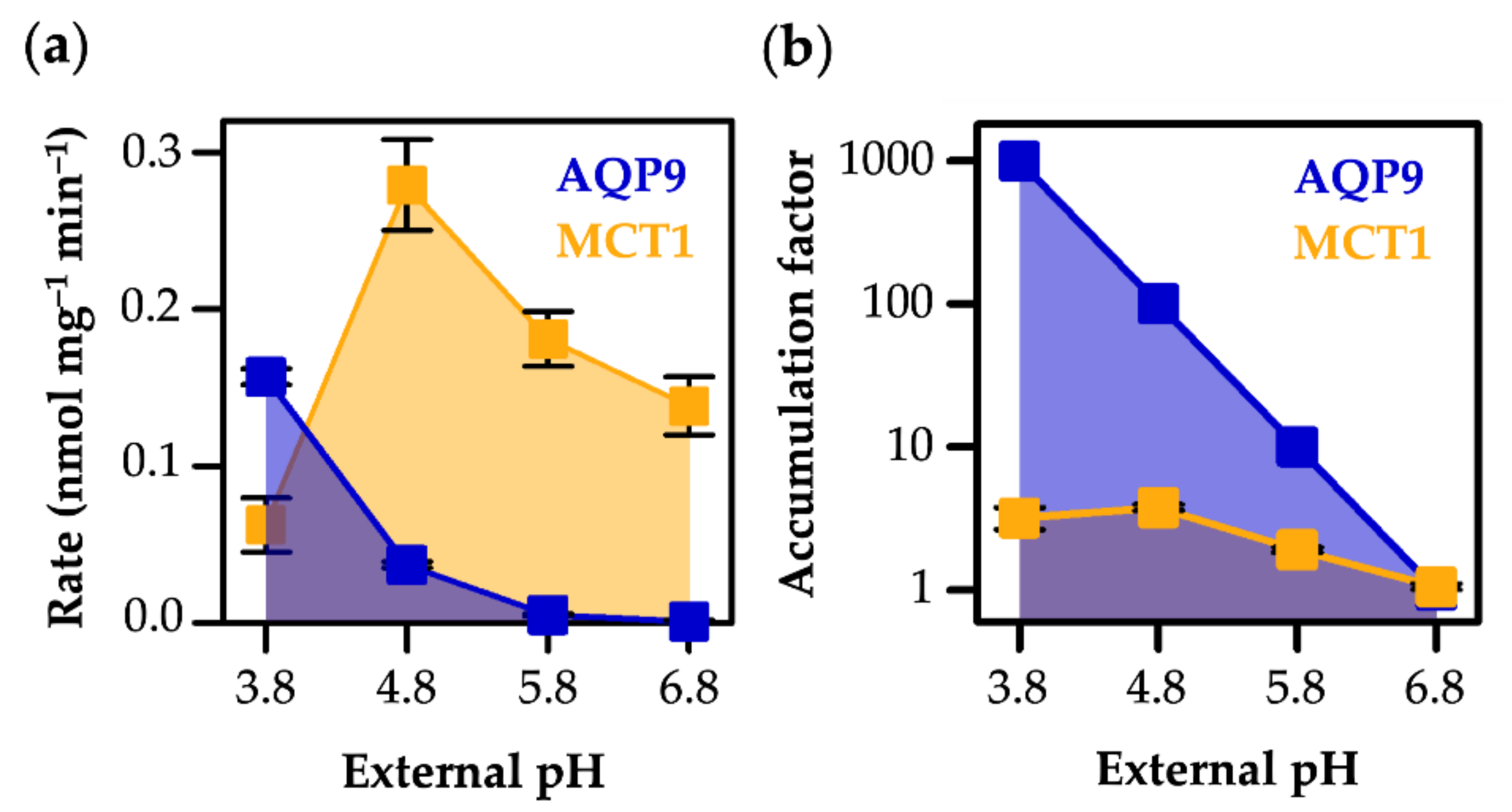 Life 12 00120 g005 Life 12 00120 g005