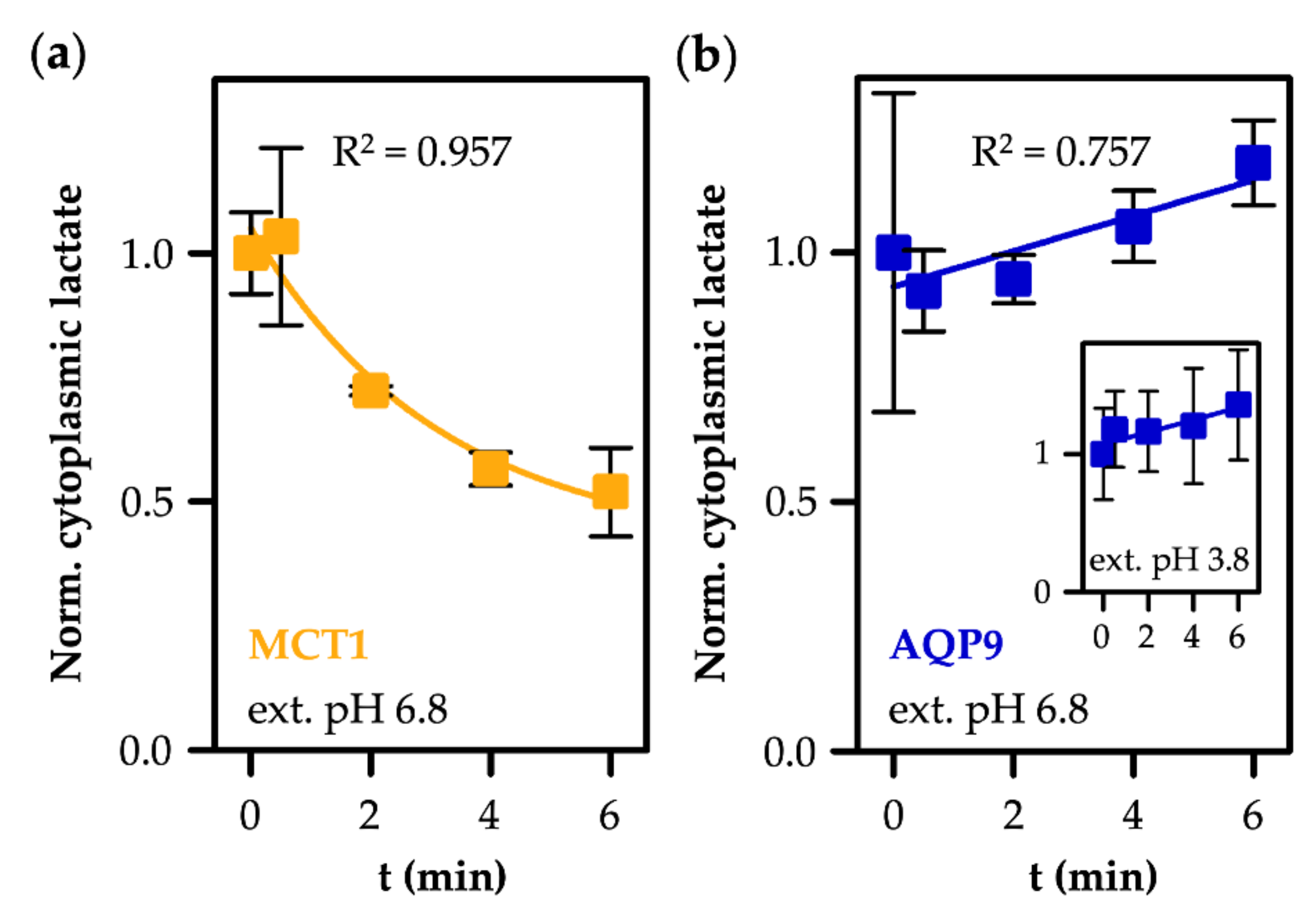 Life 12 00120 g006 Life 12 00120 g006
