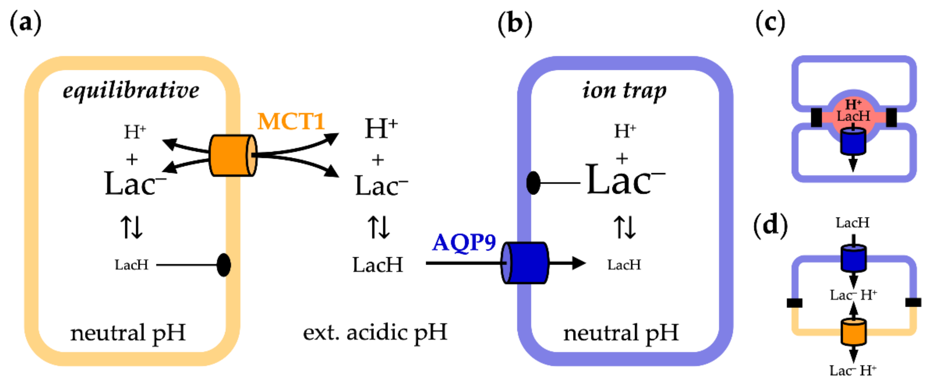 Life 12 00120 g007 Life 12 00120 g007