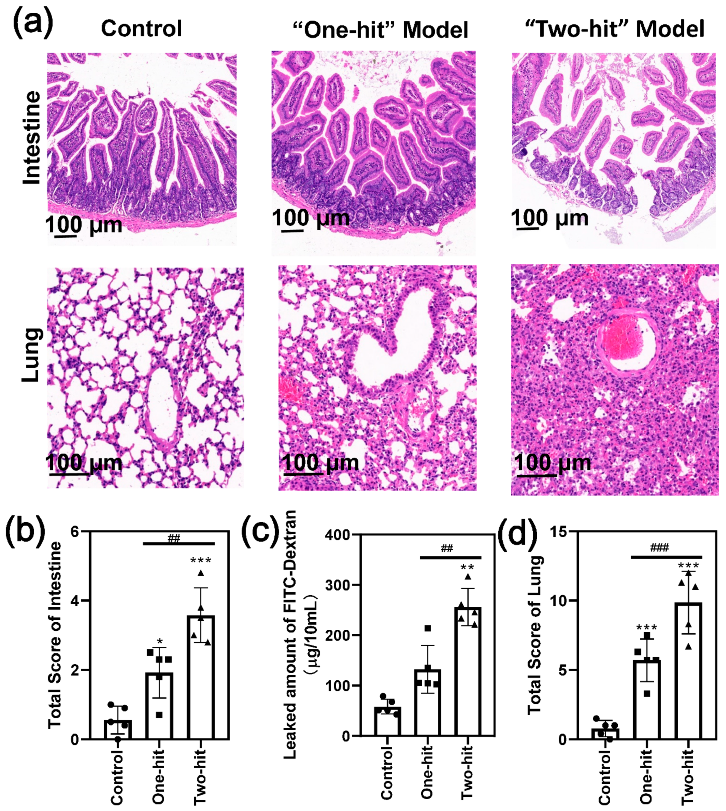 Life 12 00126 g003 Life 12 00126 g003