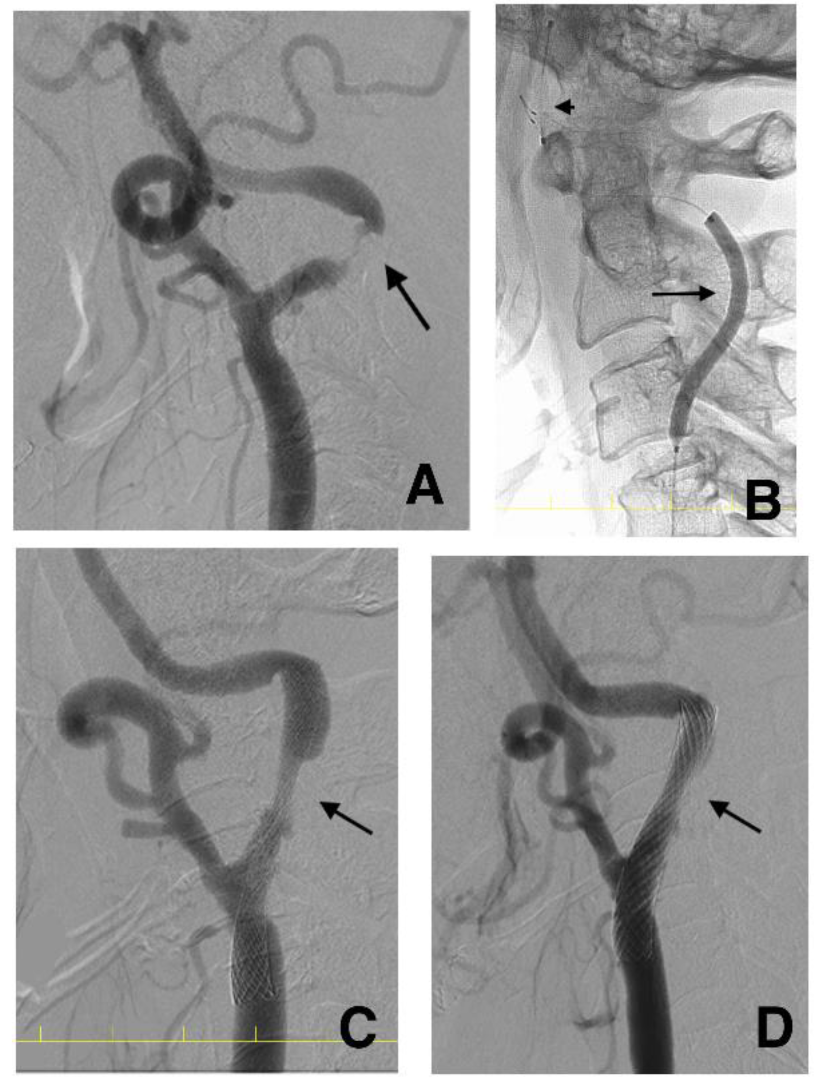 Life 12 00131 g003 Life 12 00131 g003