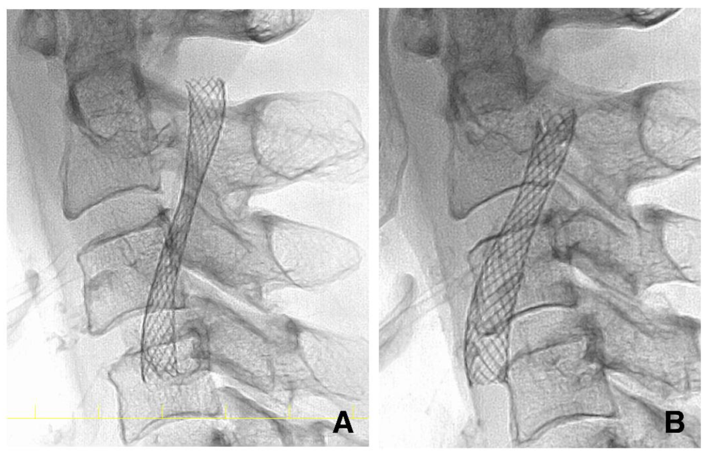 Life 12 00131 g004 Life 12 00131 g004