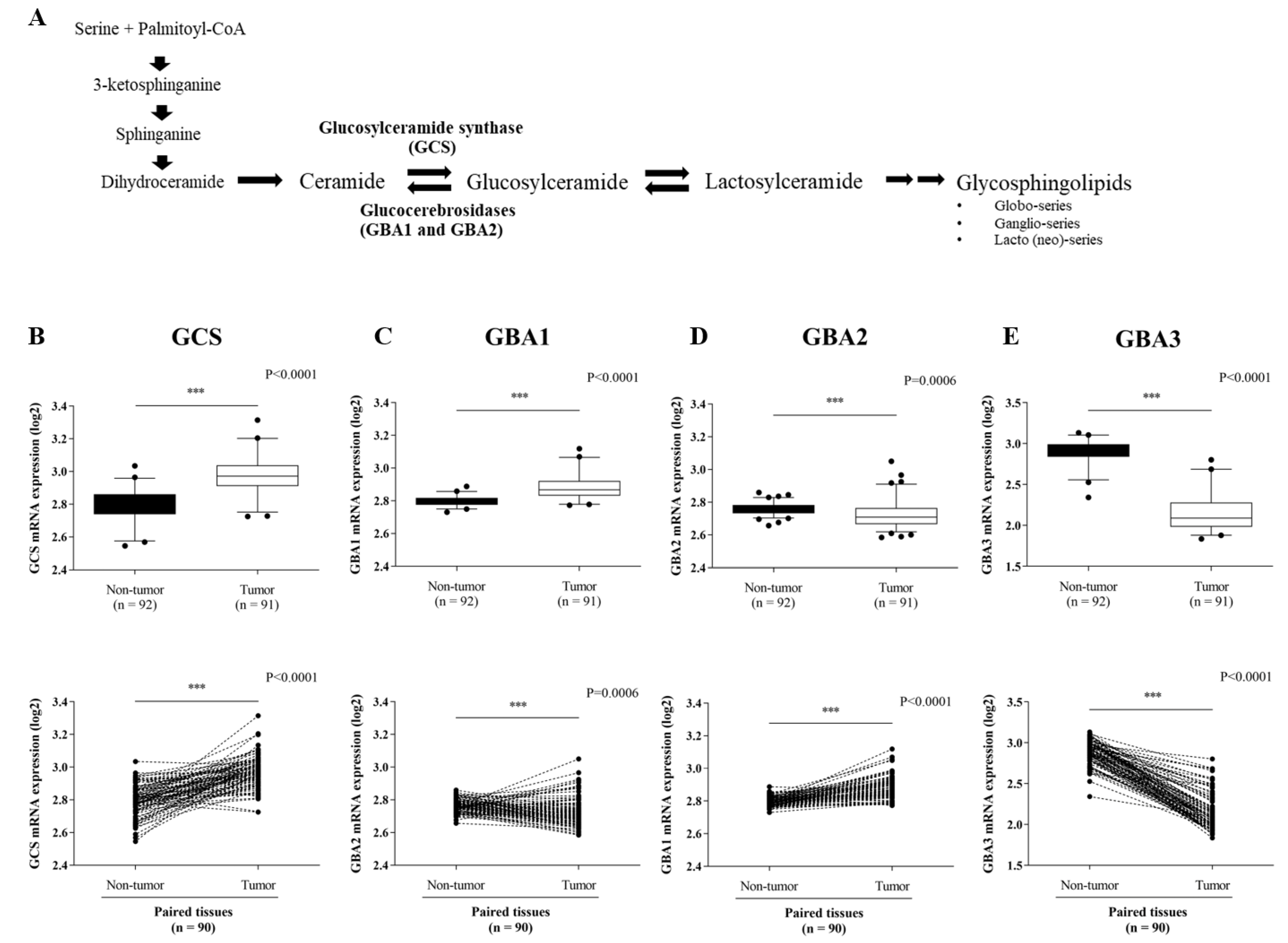 Life 12 00351 g001 Life 12 00351 g001