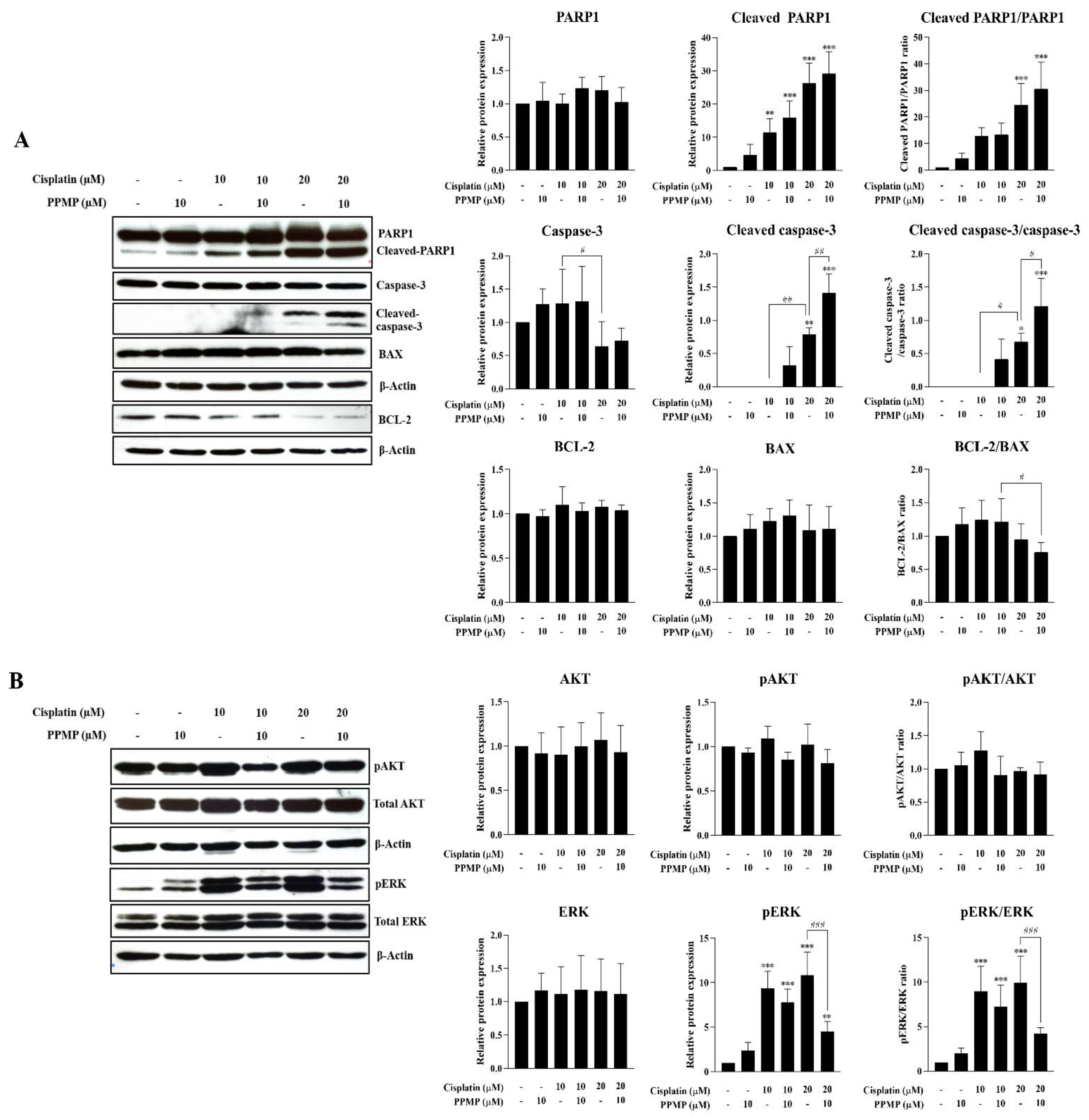 Life 12 00351 g006 Life 12 00351 g006