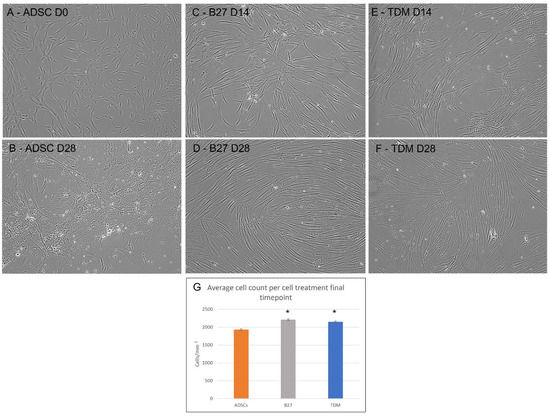 Life 12 00392 g001 550