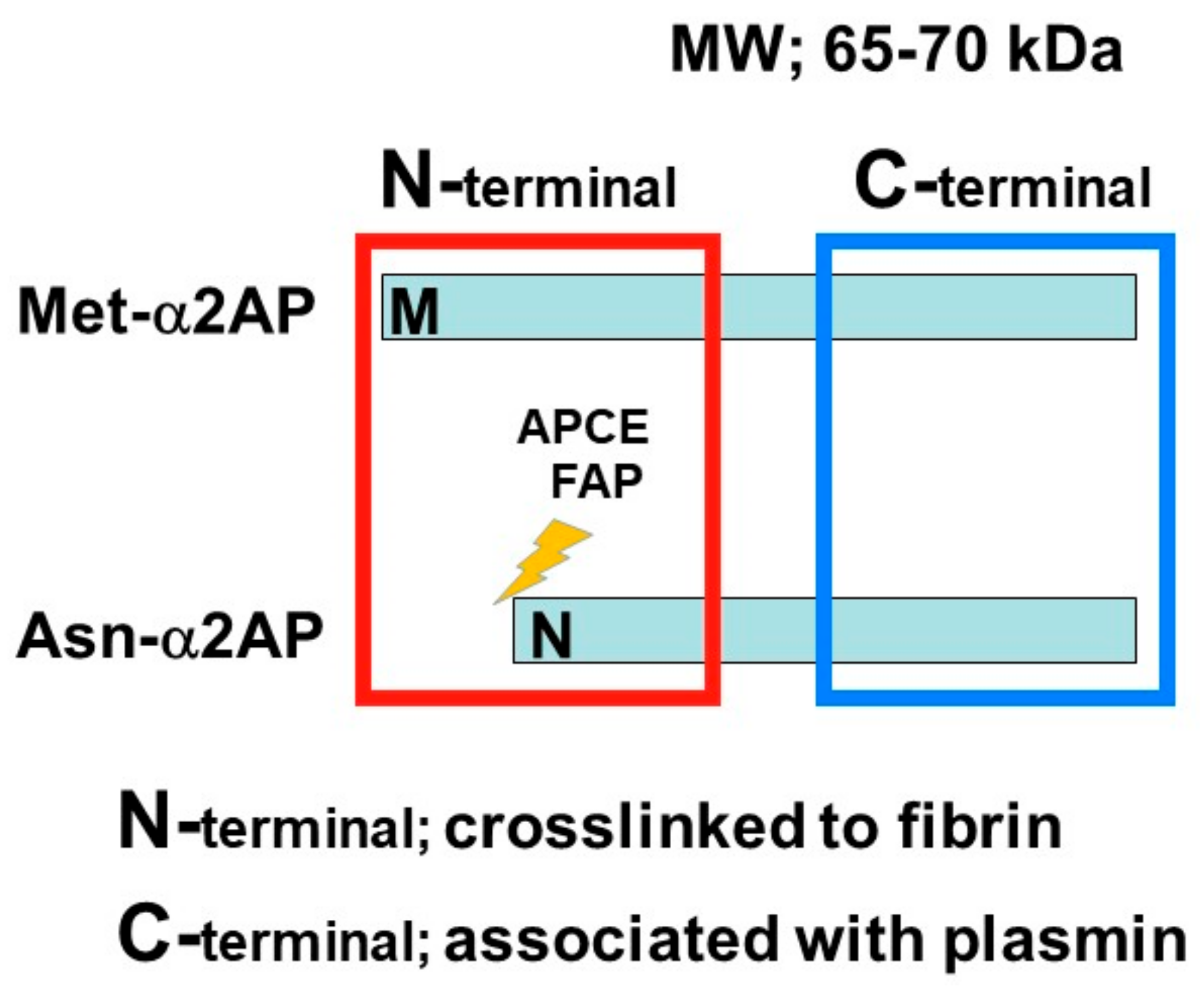 Life 12 00396 g002 Life 12 00396 g002