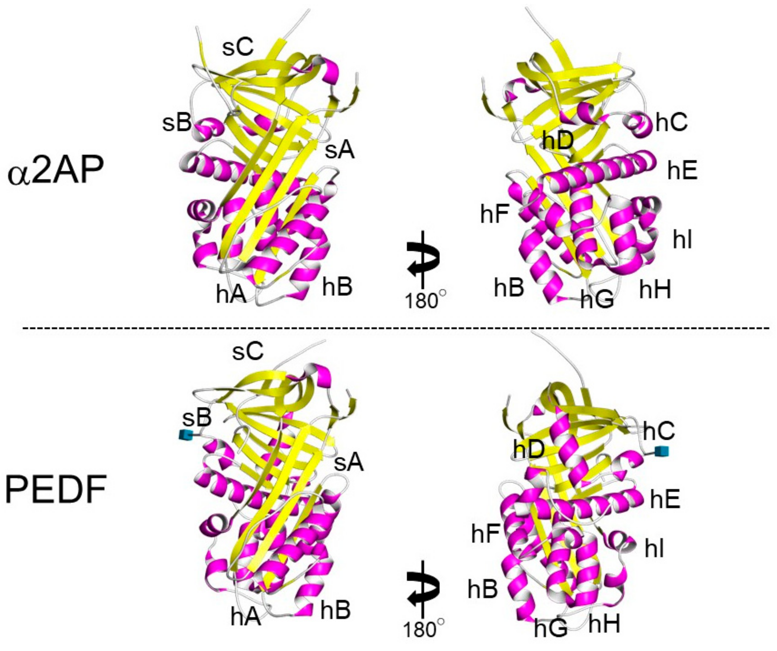 Life 12 00396 g003 Life 12 00396 g003