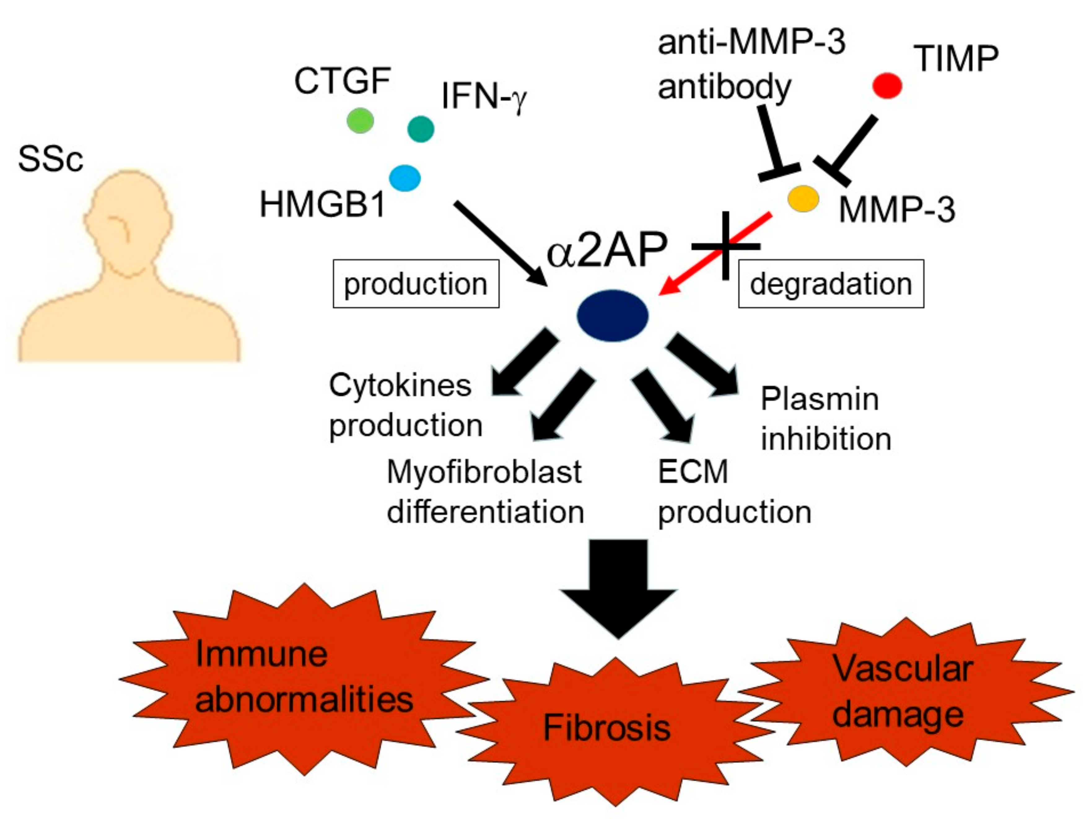 Life 12 00396 g006 Life 12 00396 g006