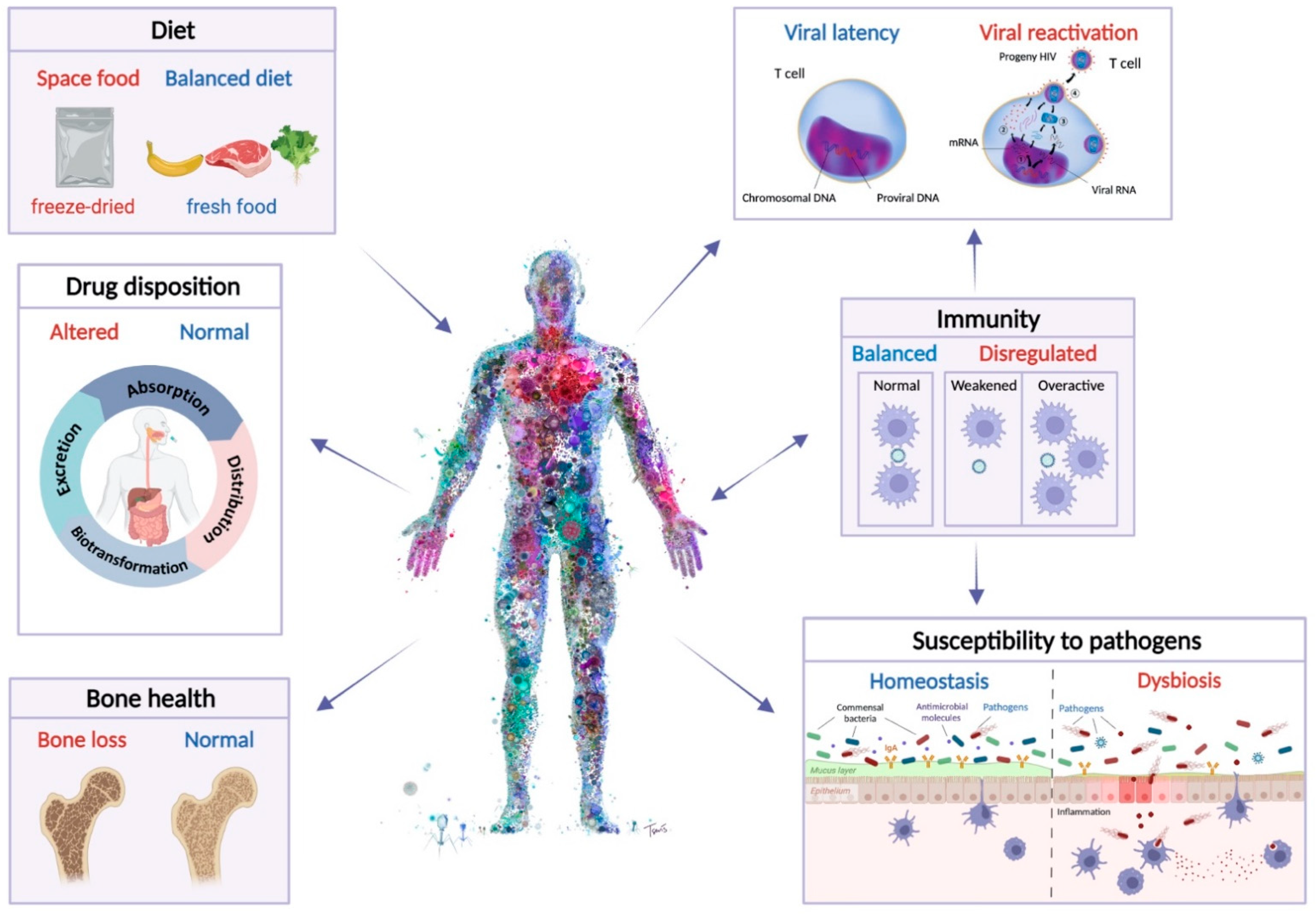 Life 12 00495 g002 Life 12 00495 g002