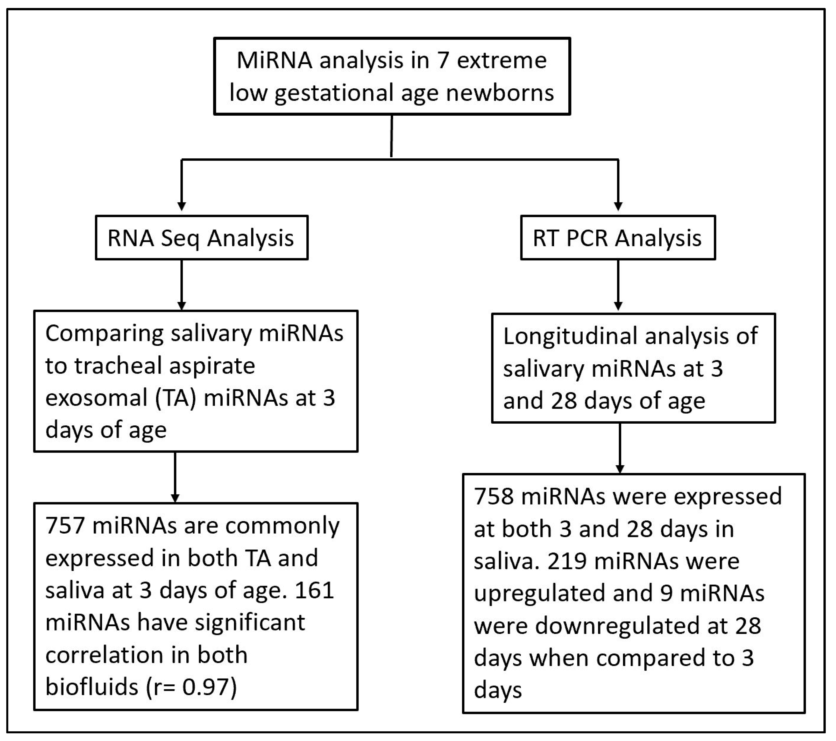 Life 12 00506 g003 Life 12 00506 g003