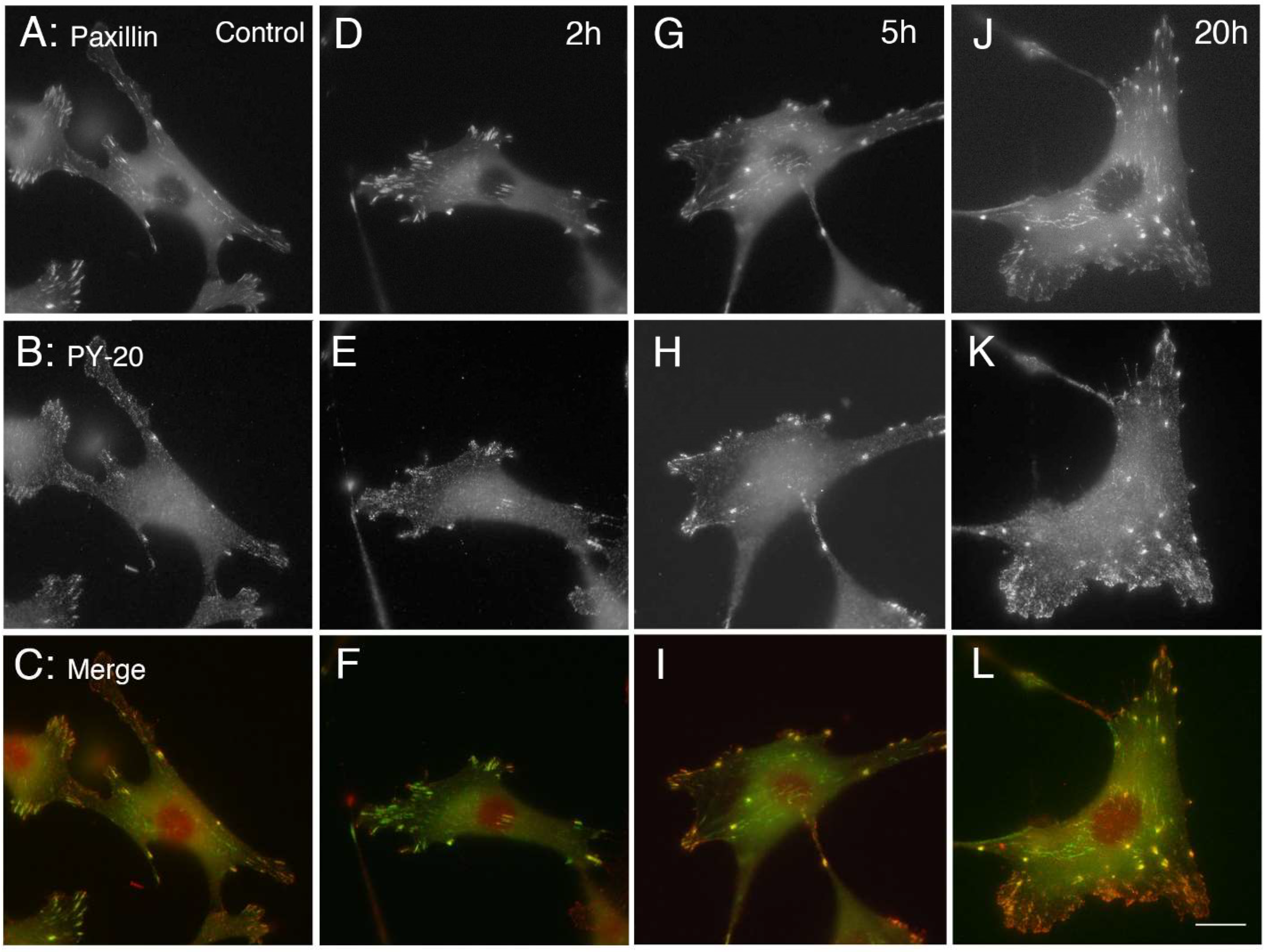 Life 12 00531 g004 Life 12 00531 g004