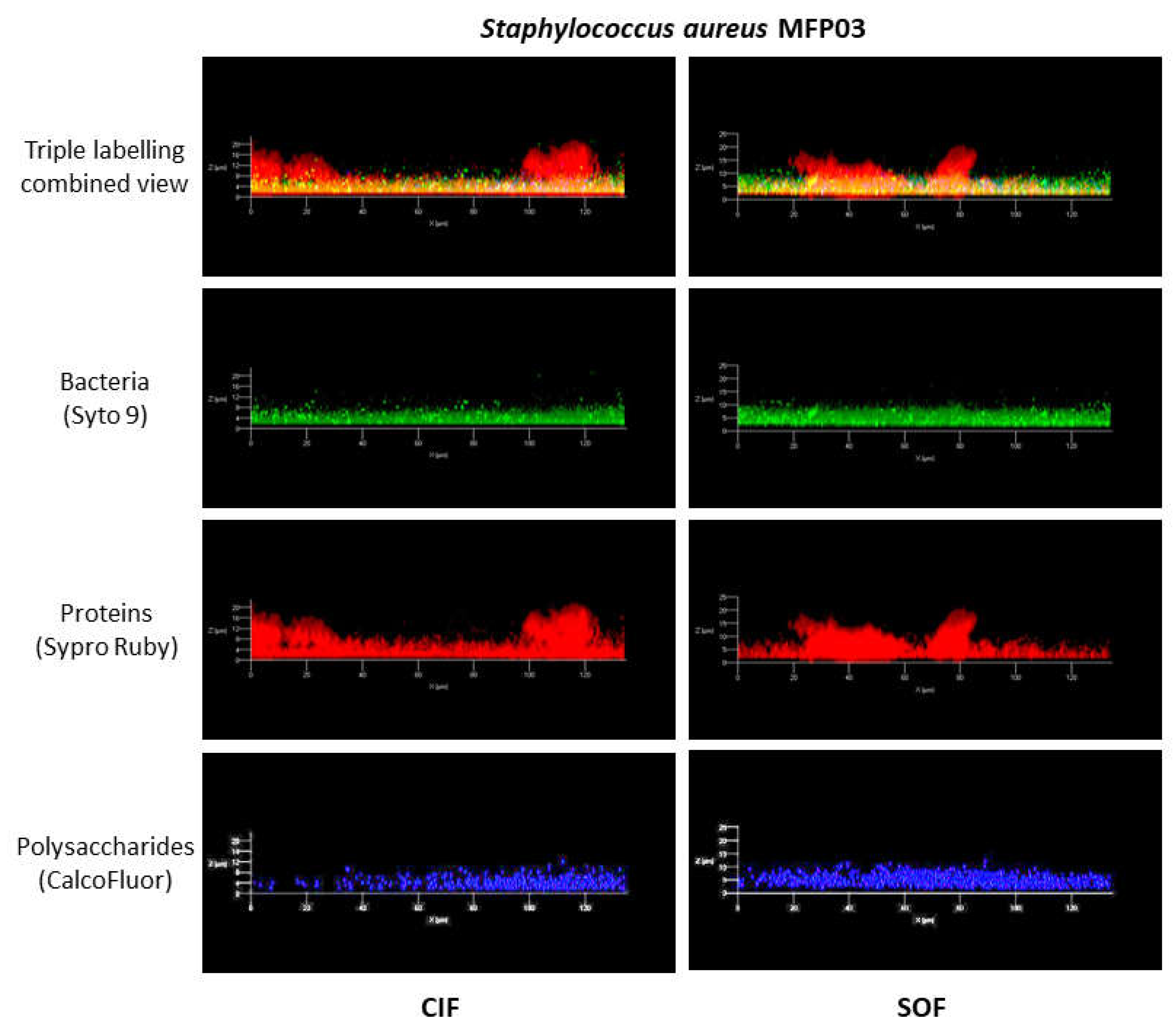 Life 12 00535 g005 Life 12 00535 g005