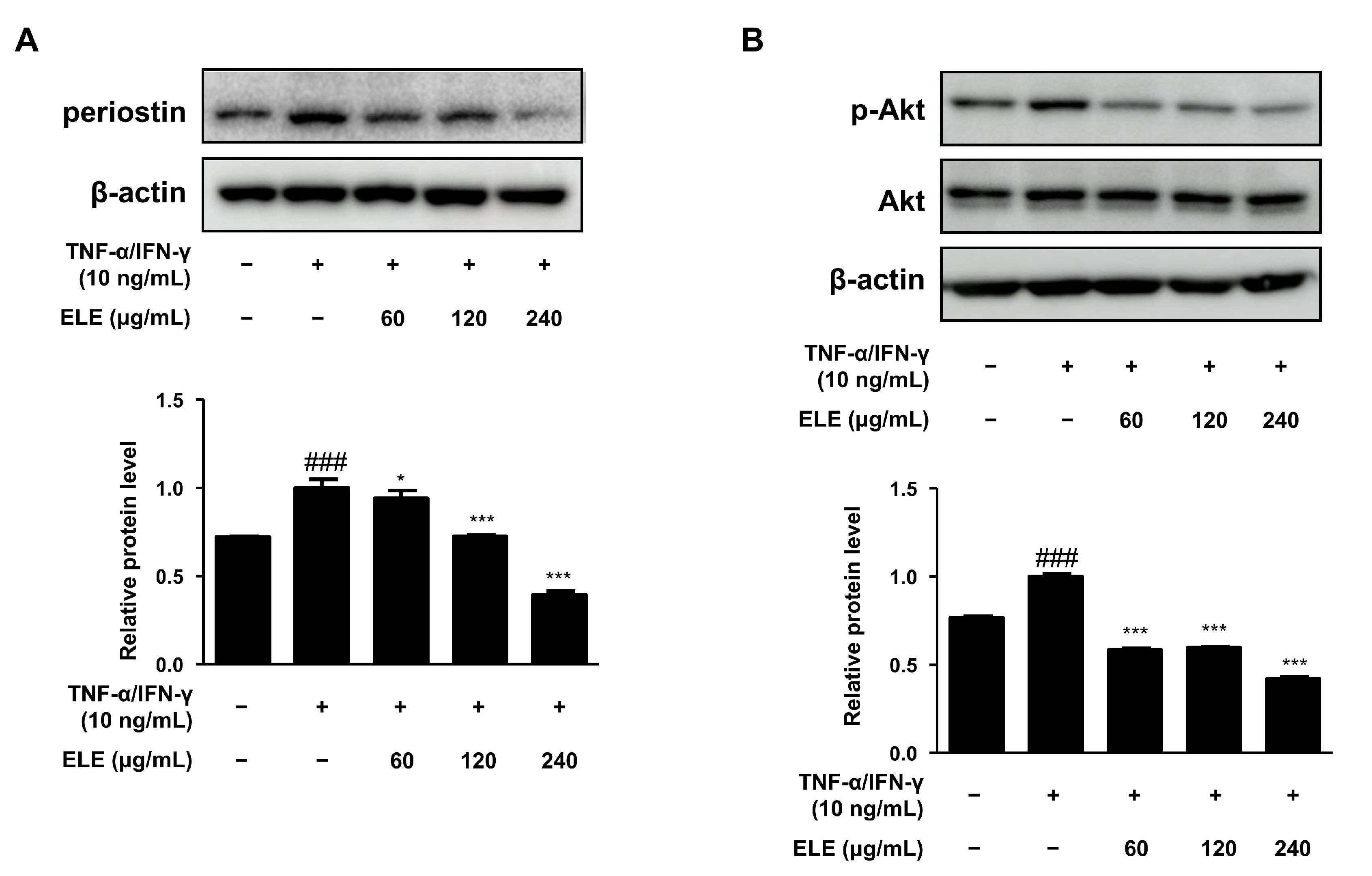 Life 12 00589 g003 Life 12 00589 g003