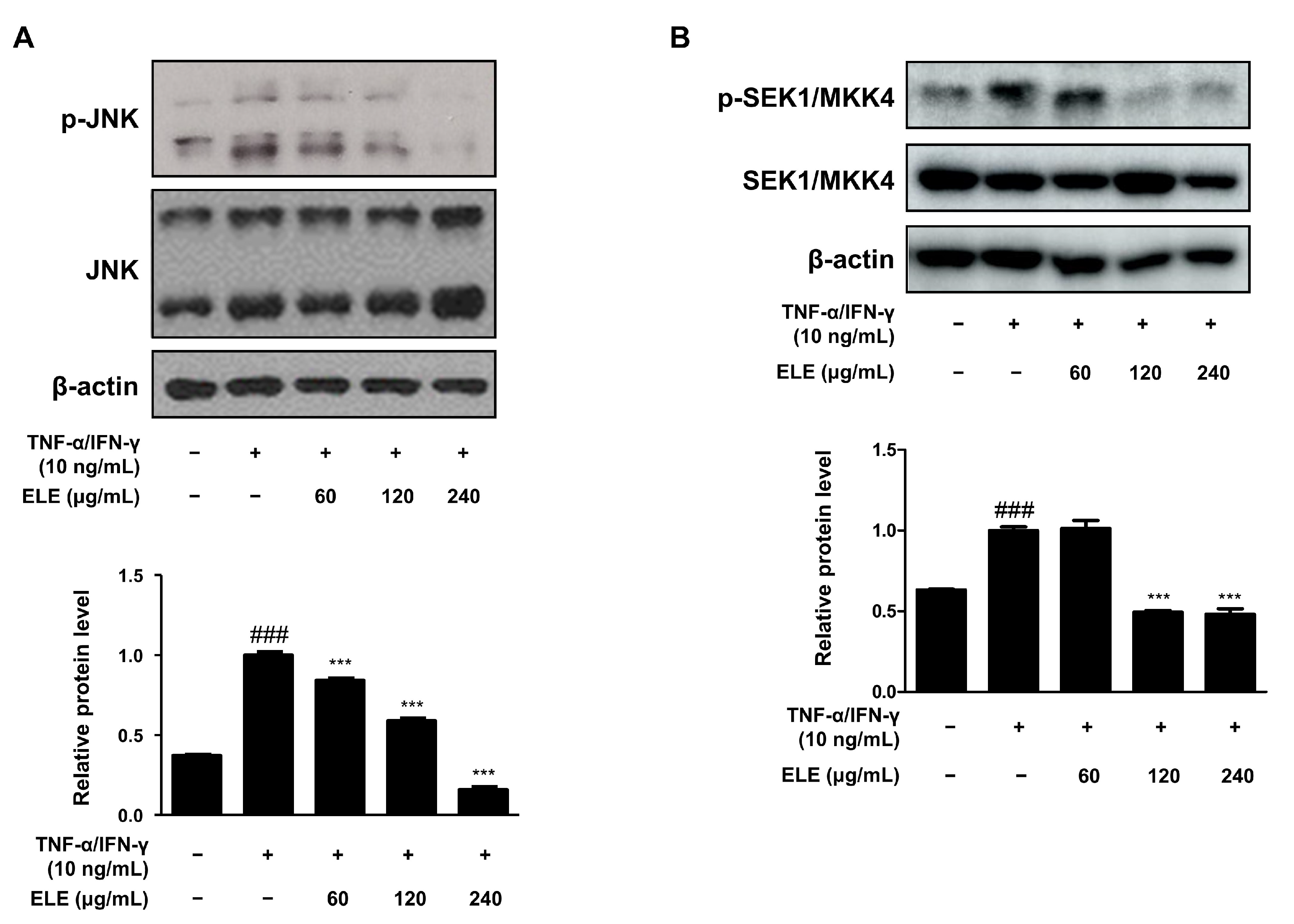 Life 12 00589 g004 Life 12 00589 g004