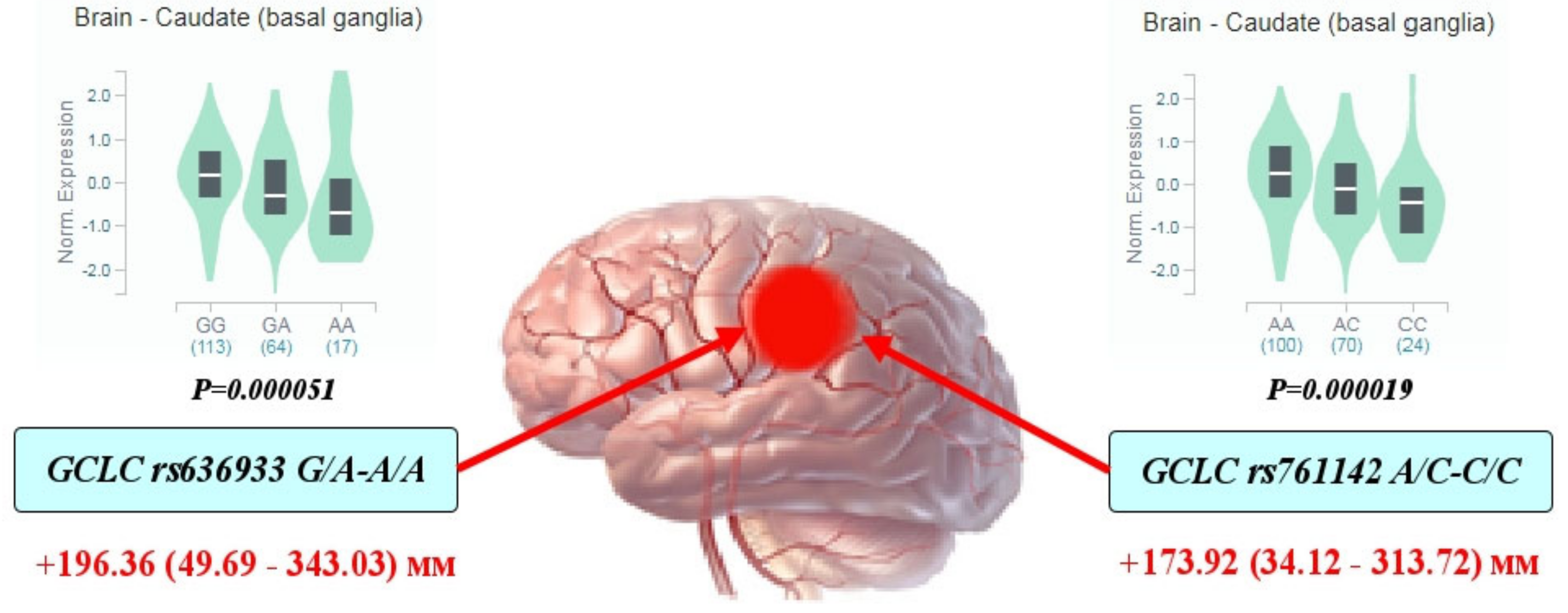 Life 12 00602 g001 Life 12 00602 g001