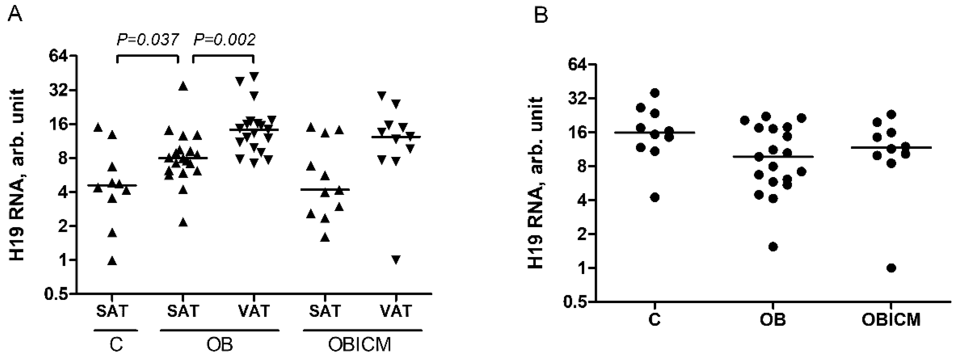 Life 12 00633 g001 Life 12 00633 g001