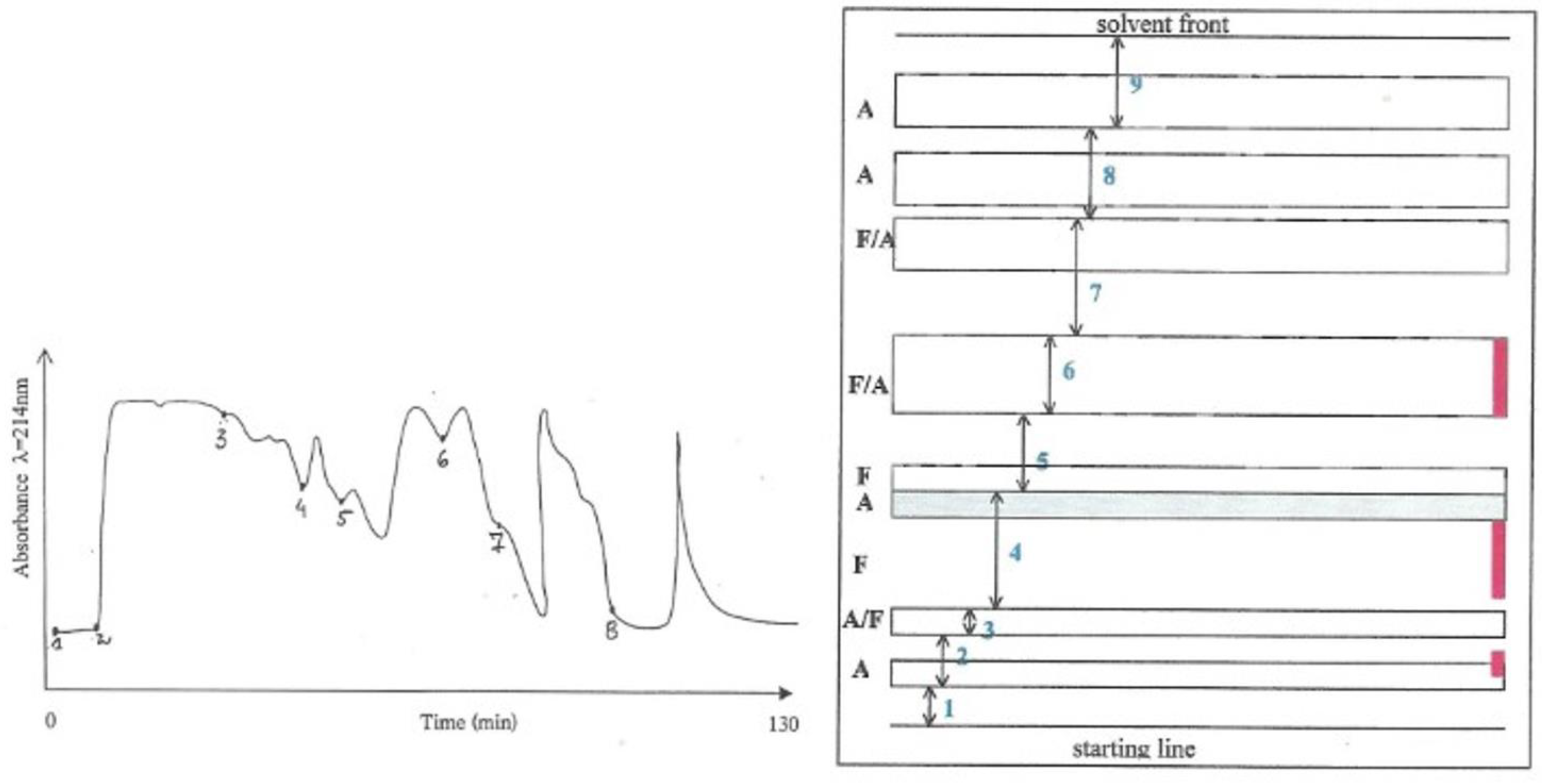 Life 12 00747 g001 Life 12 00747 g001