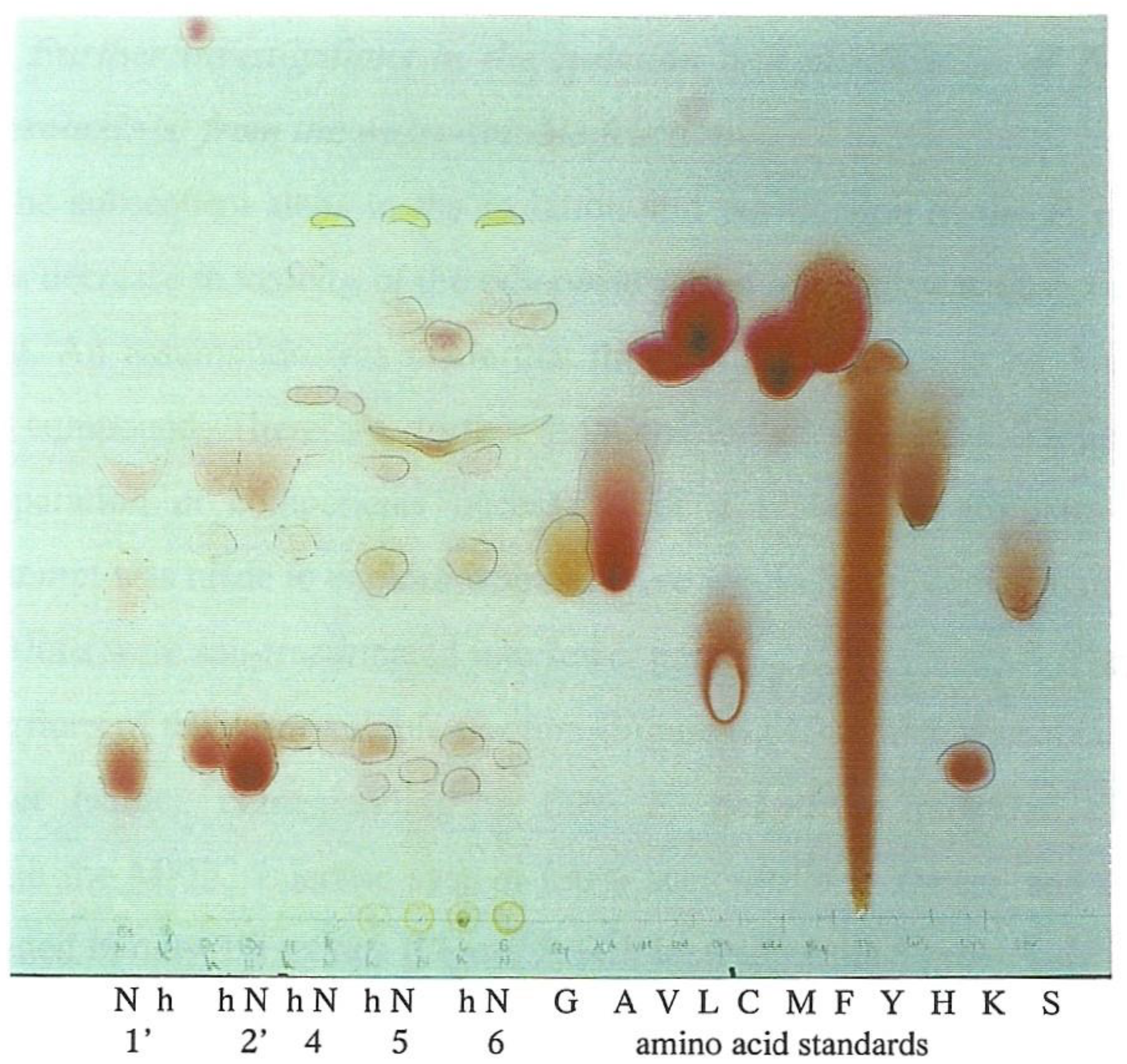 Life 12 00747 g003 Life 12 00747 g003