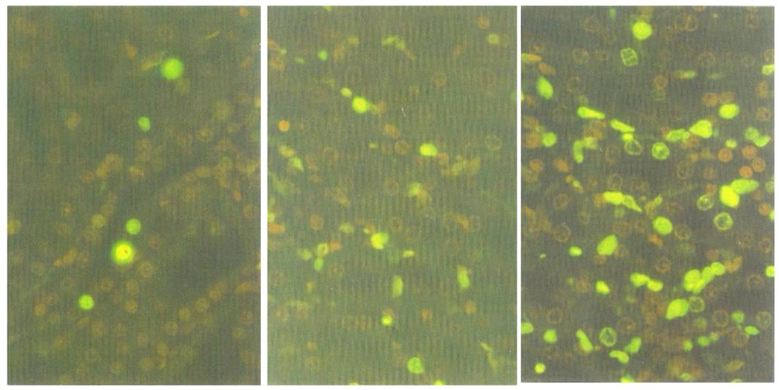 Life 12 00747 g007 Life 12 00747 g007