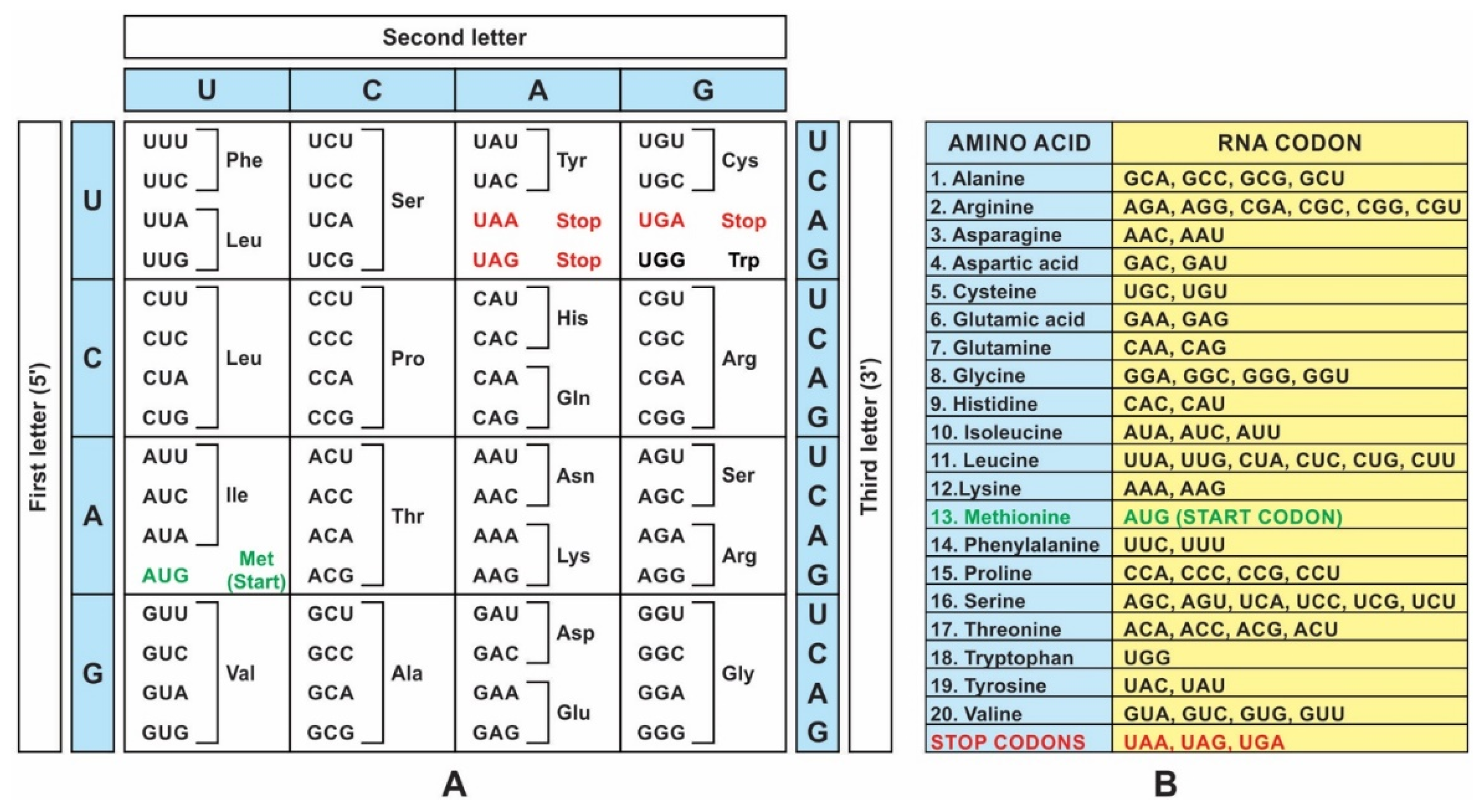 Life 12 00834 sch005