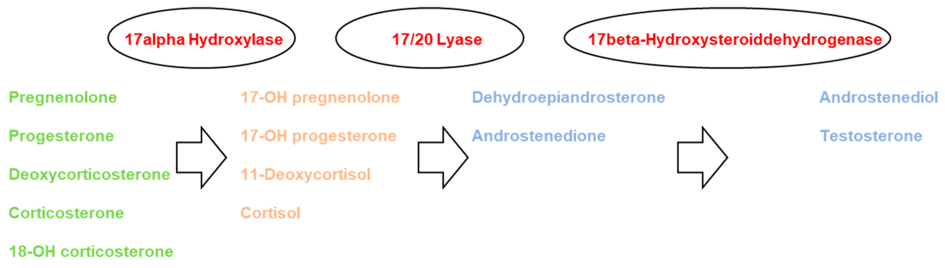 Life 12 00867 g001 Life 12 00867 g001