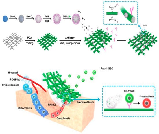Life 12 00903 g007 550