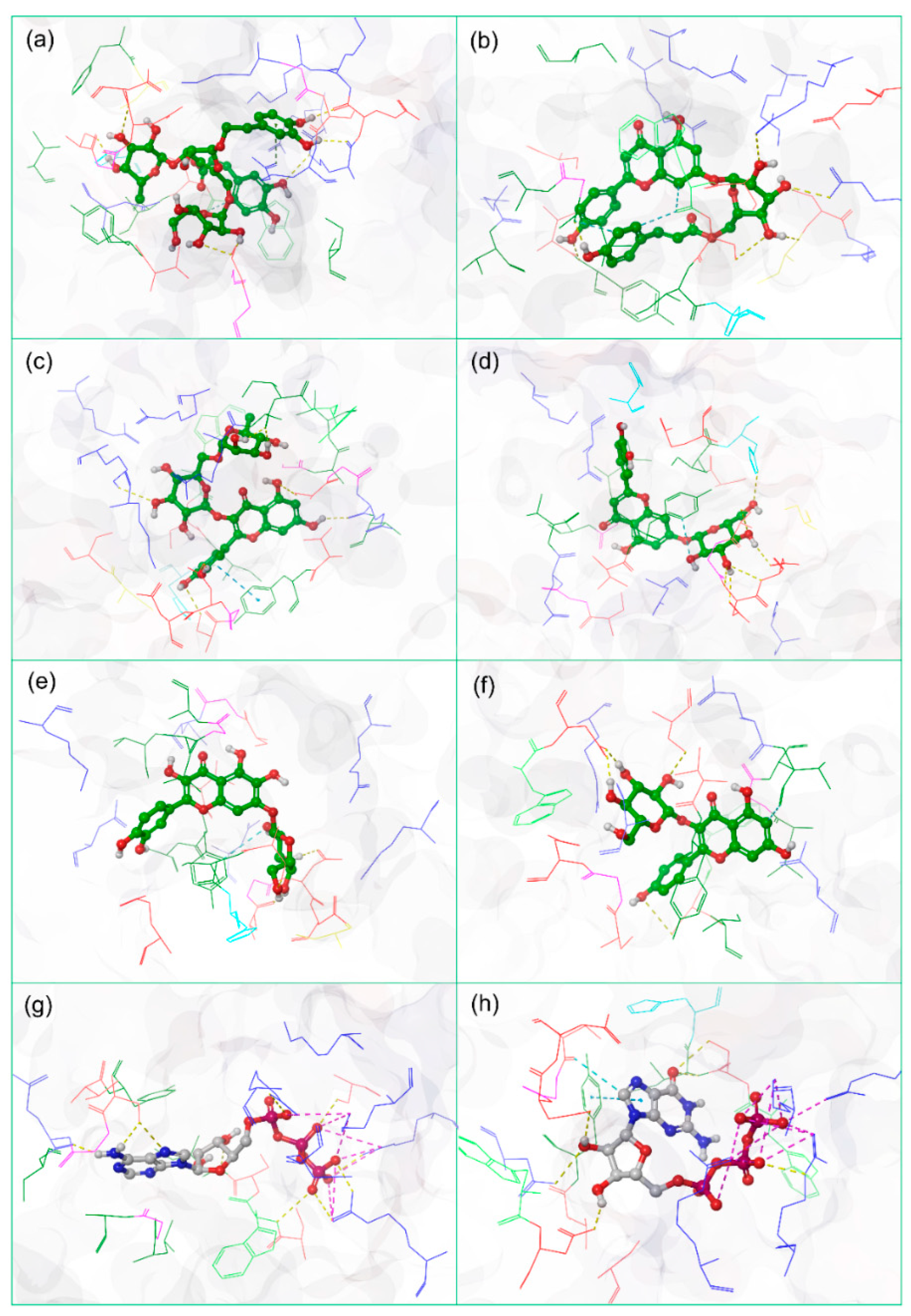 Life 12 00952 g001 Life 12 00952 g001