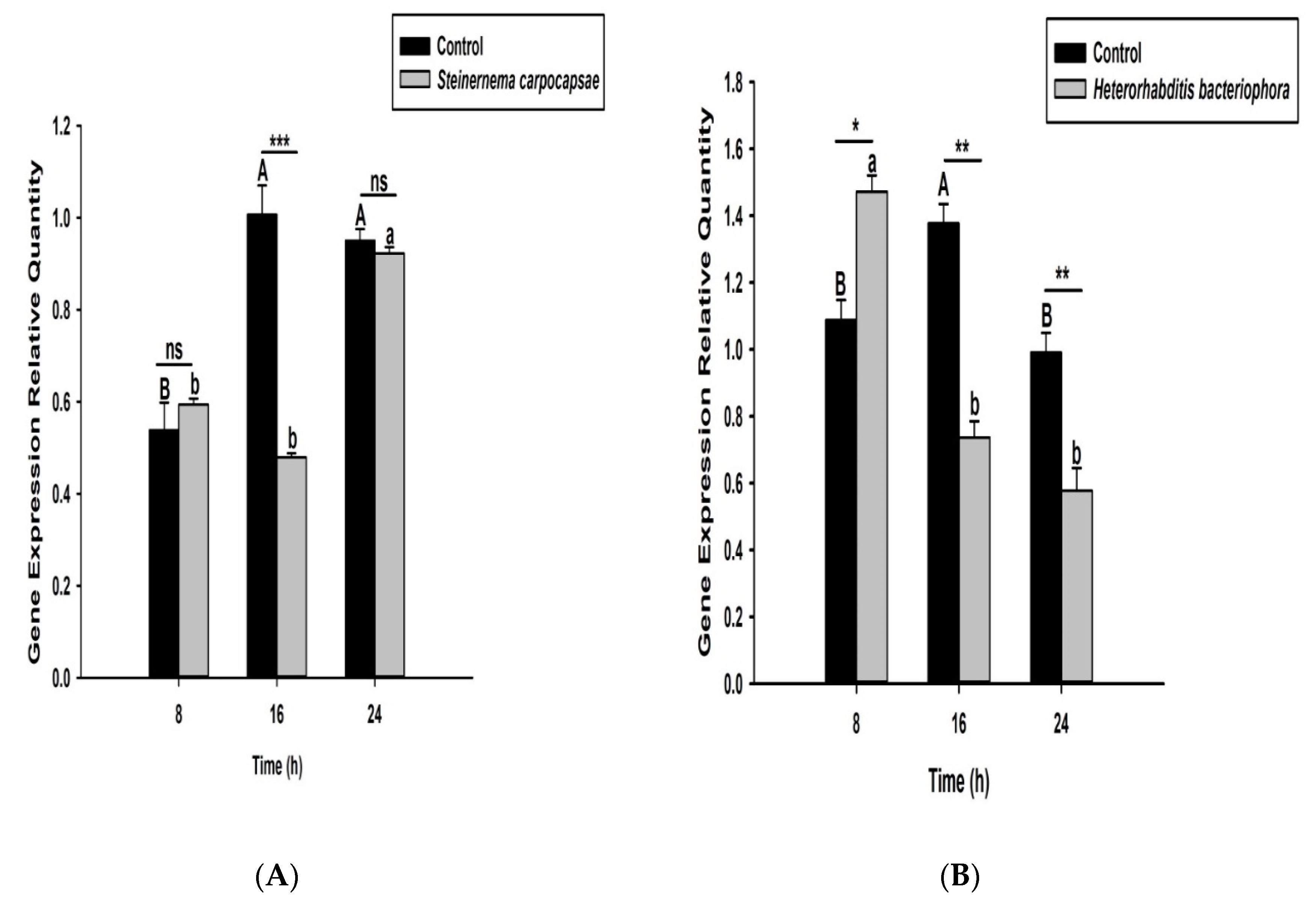 Life 12 01019 g003 Life 12 01019 g003