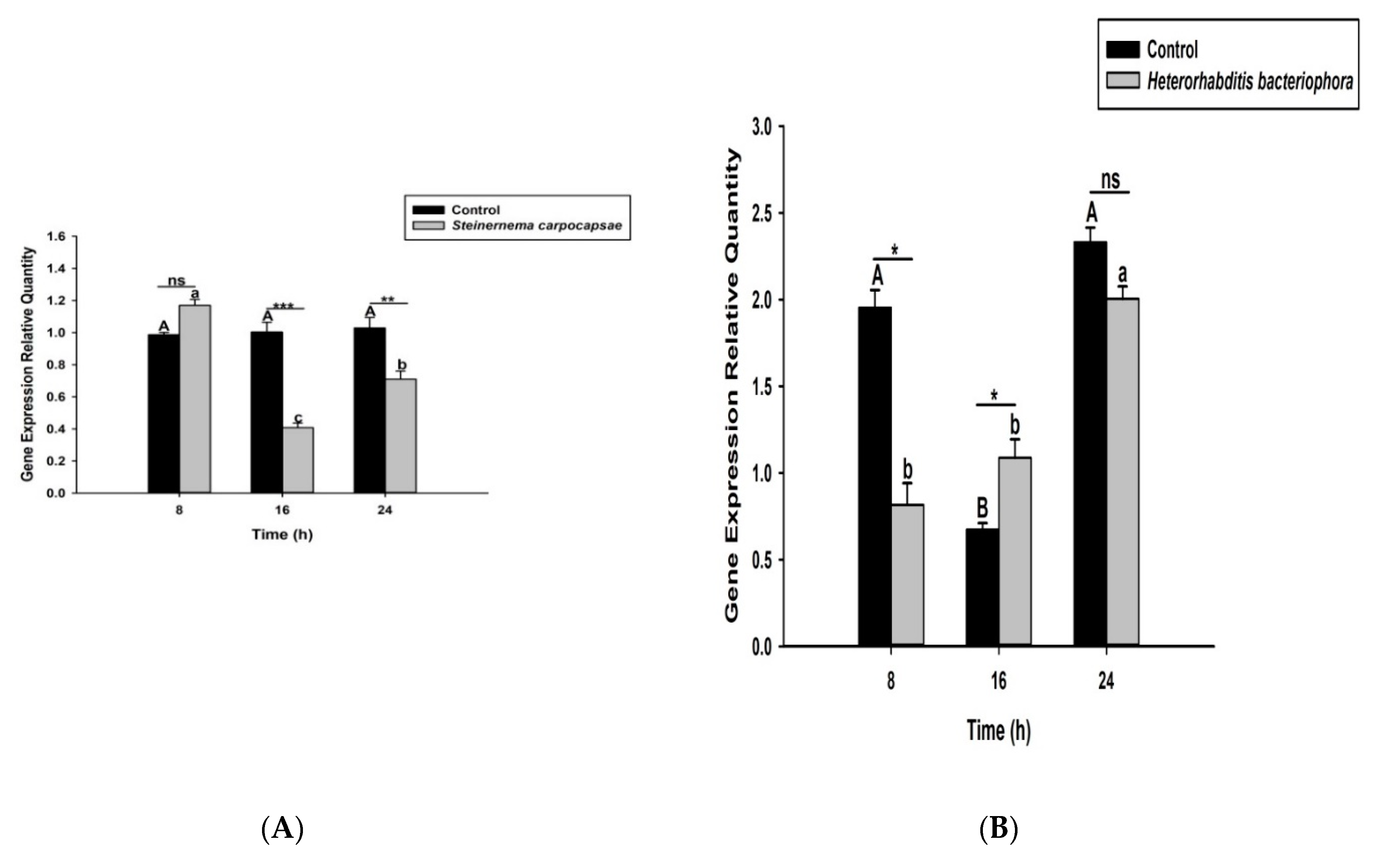 Life 12 01019 g004 Life 12 01019 g004