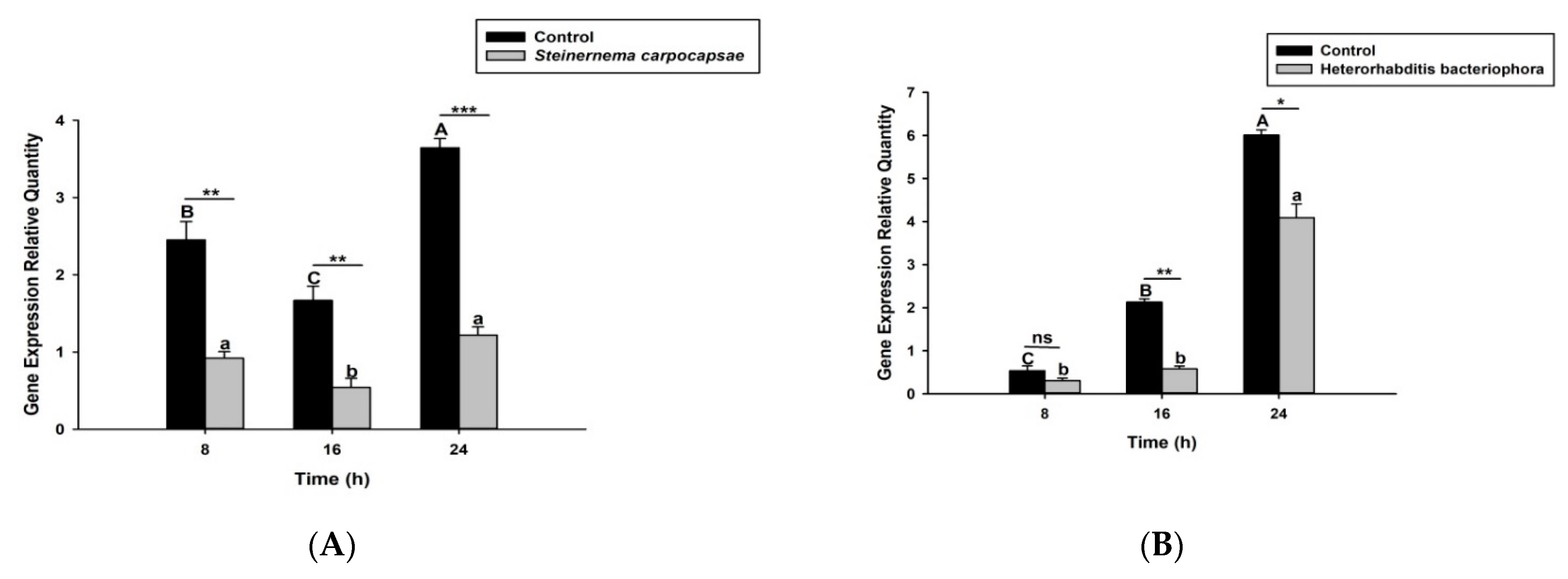 Life 12 01019 g005 Life 12 01019 g005