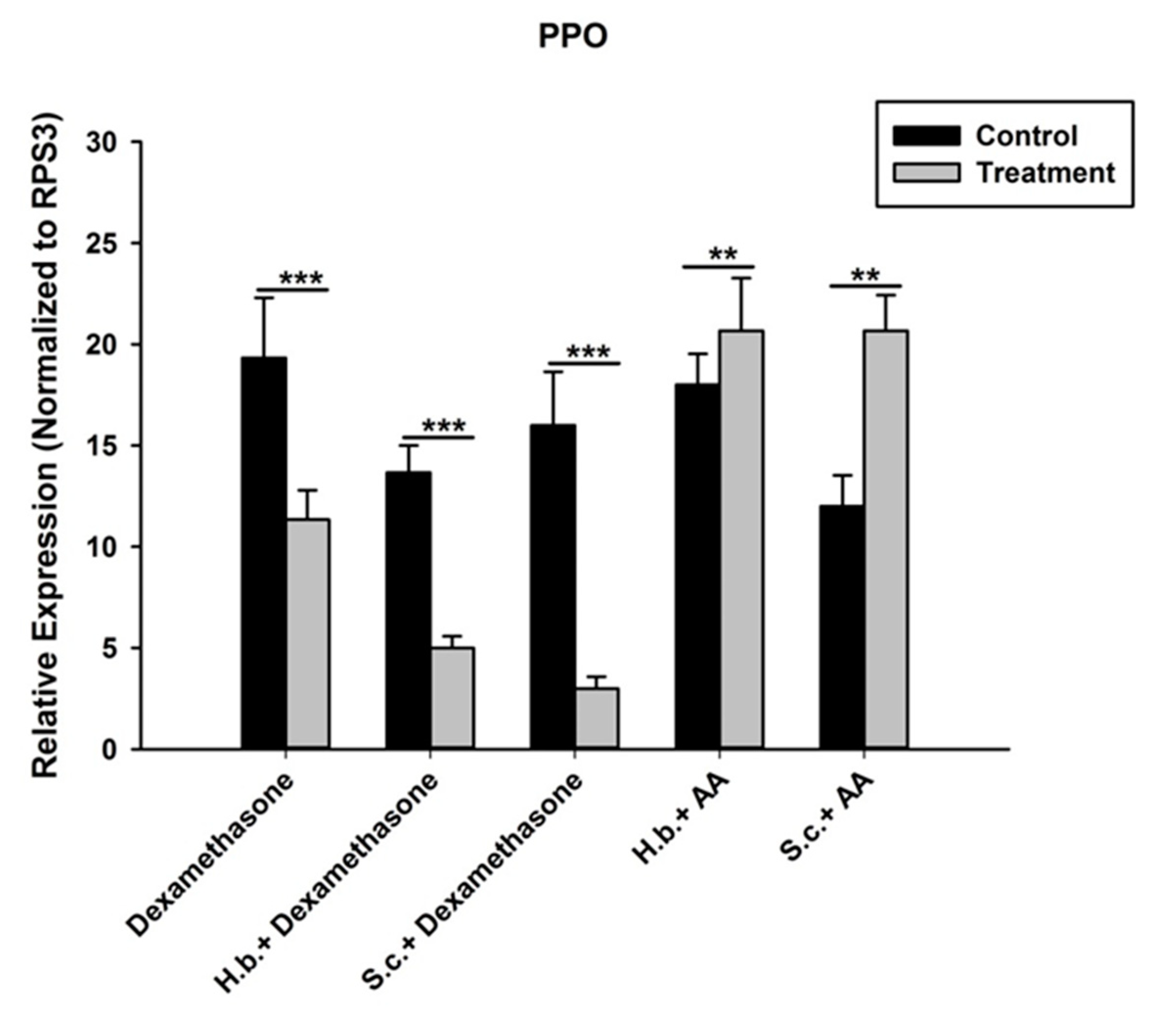 Life 12 01019 g009 Life 12 01019 g009