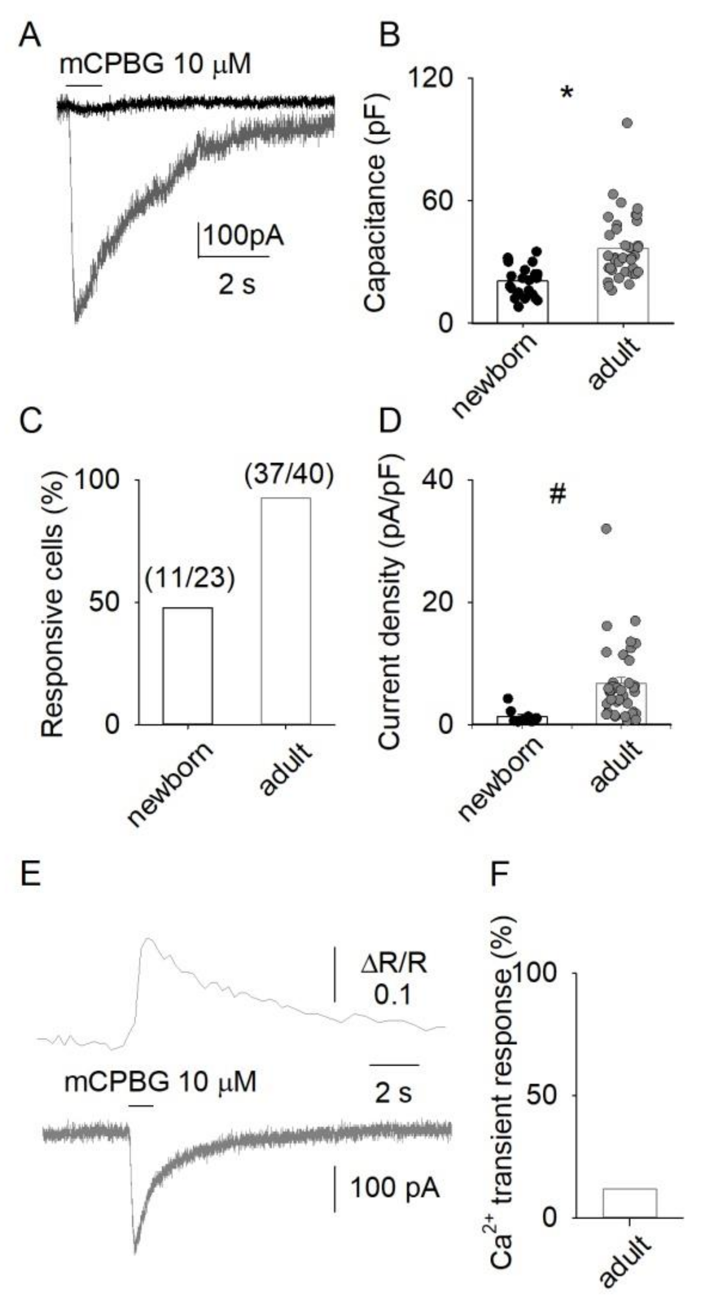 Life 12 01178 g001 Life 12 01178 g001